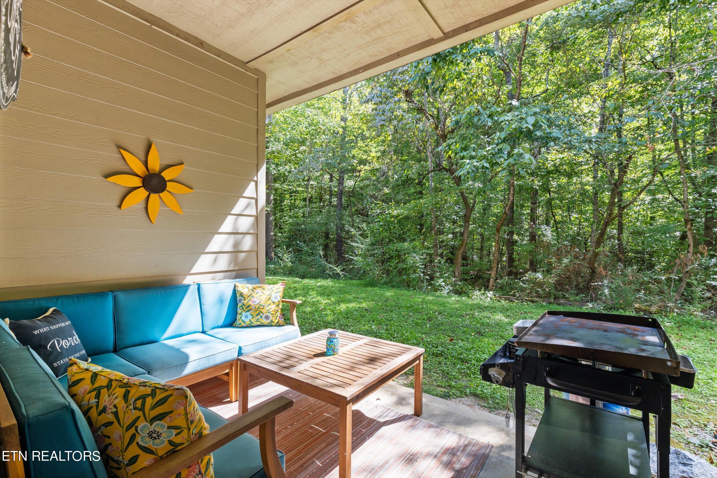 229 Bishop's Cap Circle, Unit 105 Townsend, TN 37882 - Photo 24 of 34 Pic 24