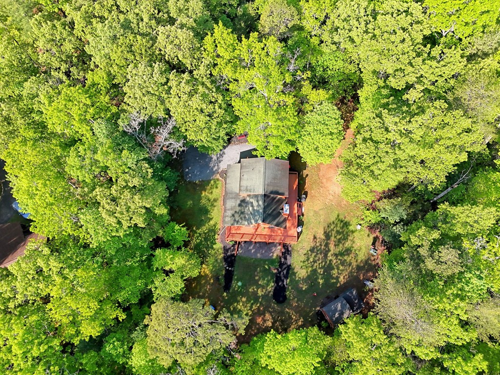 340 Vista Hills Road Murphy, NC 28906 - Photo 55 of 56