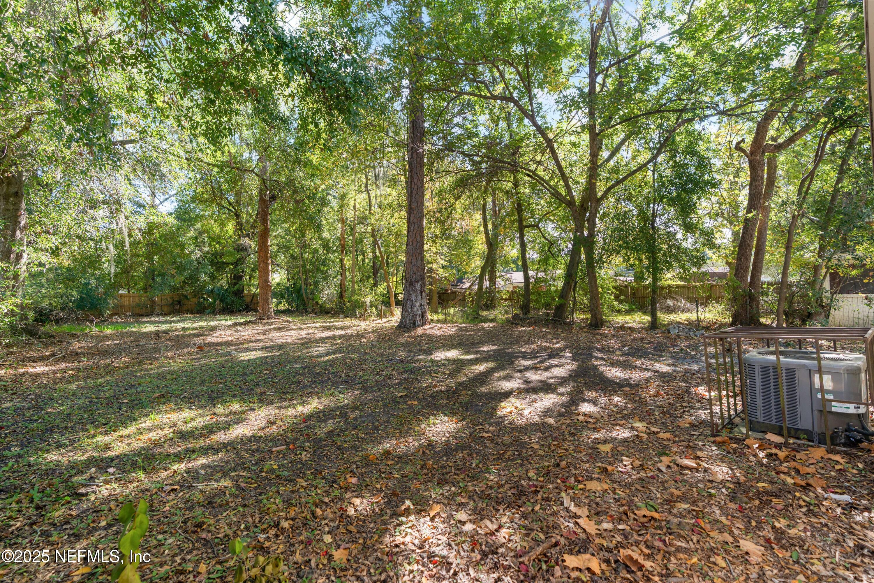 1169 Comanche Street Jacksonville, FL 32205 - Photo 23 of 24 a view of outdoor space with trees