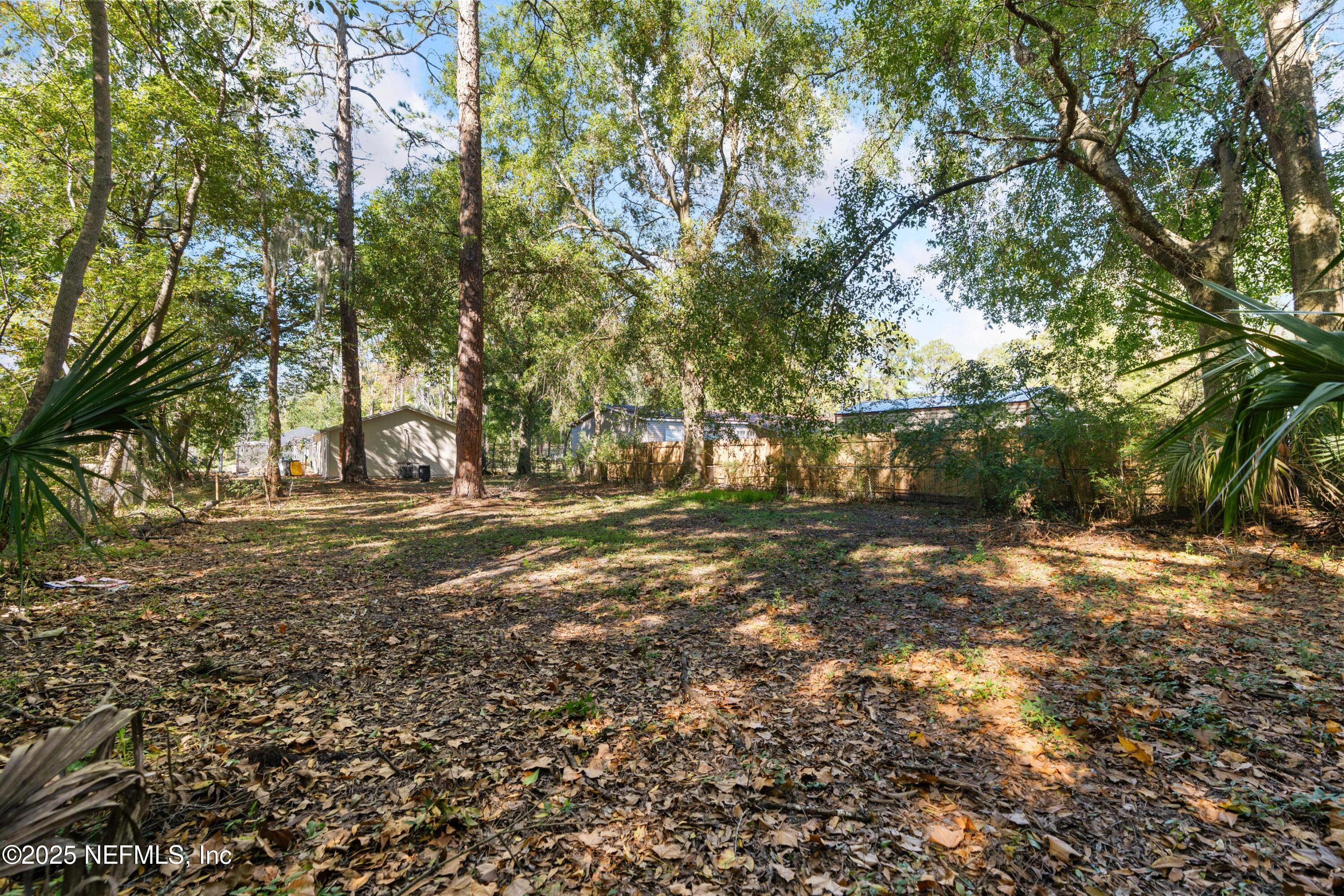 1169 Comanche Street Jacksonville, FL 32205 - Photo 24 of 24 a view of yard with trees