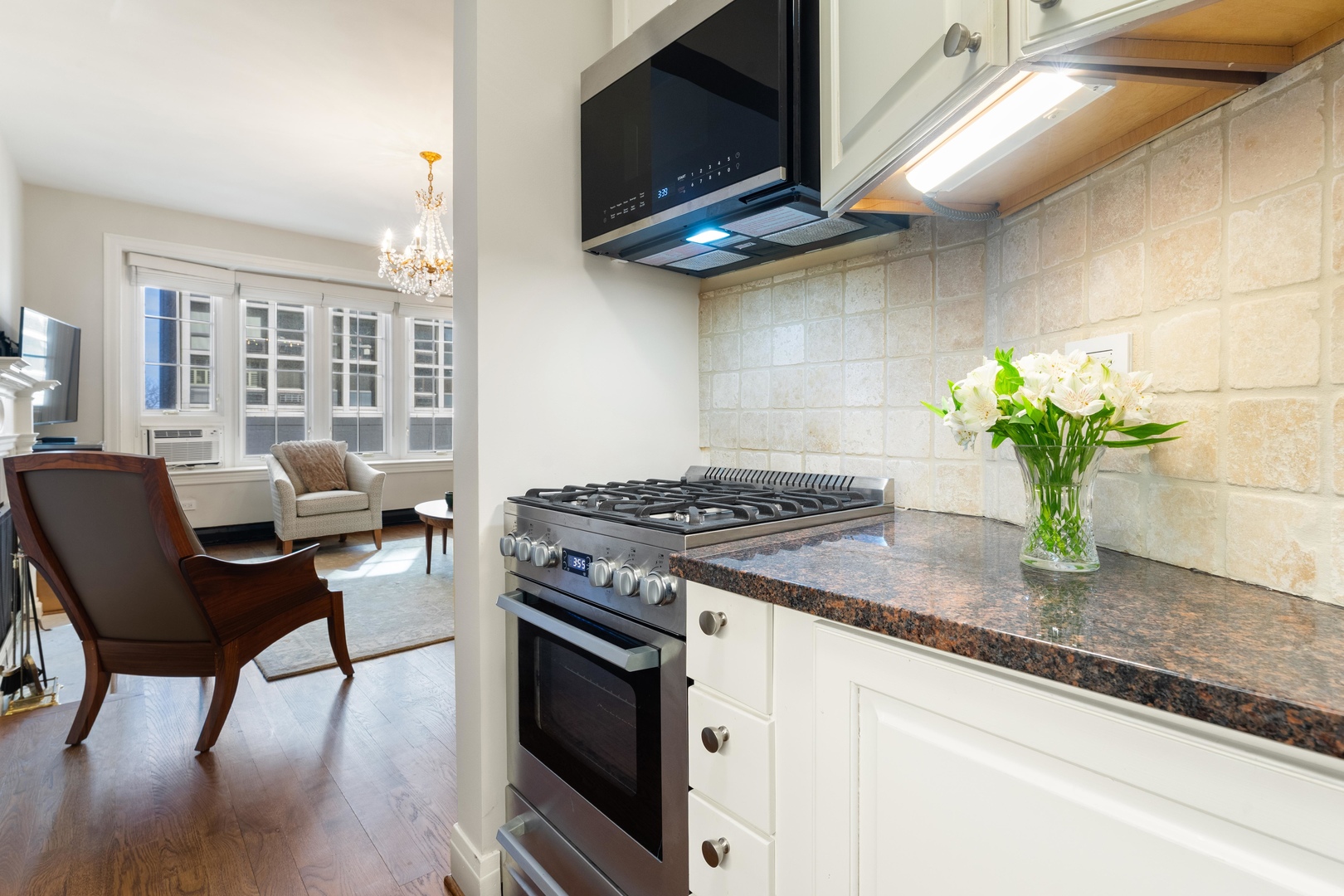 70 East Scott Street, Unit 307 Chicago, IL 60610 - Photo 11 of 32