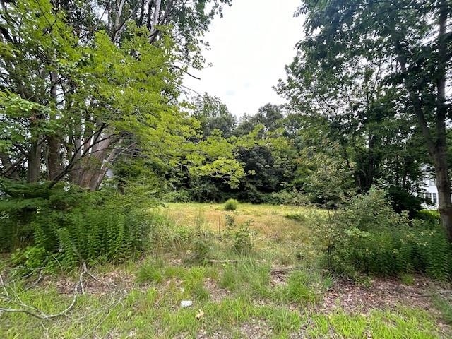 80 Rochester Hill Road Rochester, NH 03867 - Photo 1 of 7