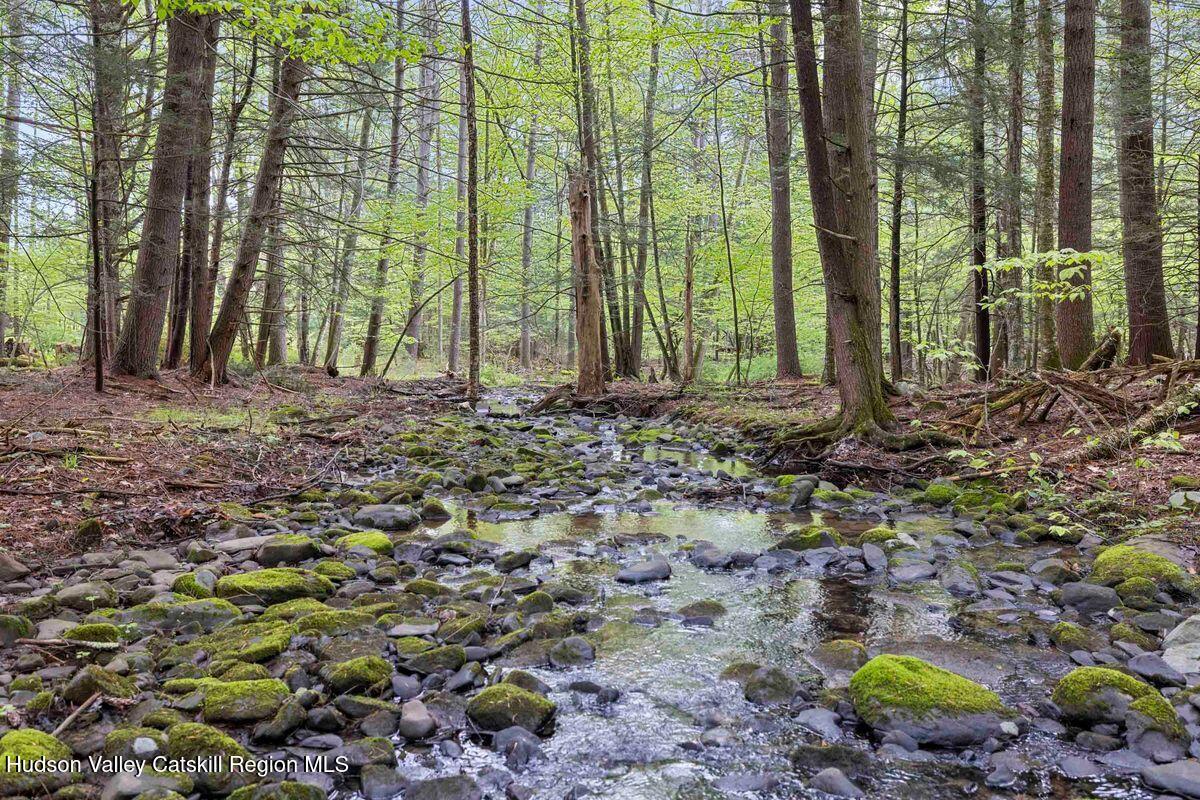 35 Van Wagner Road Willow, NY 12495 - Photo 42 of 44 photo_online_021