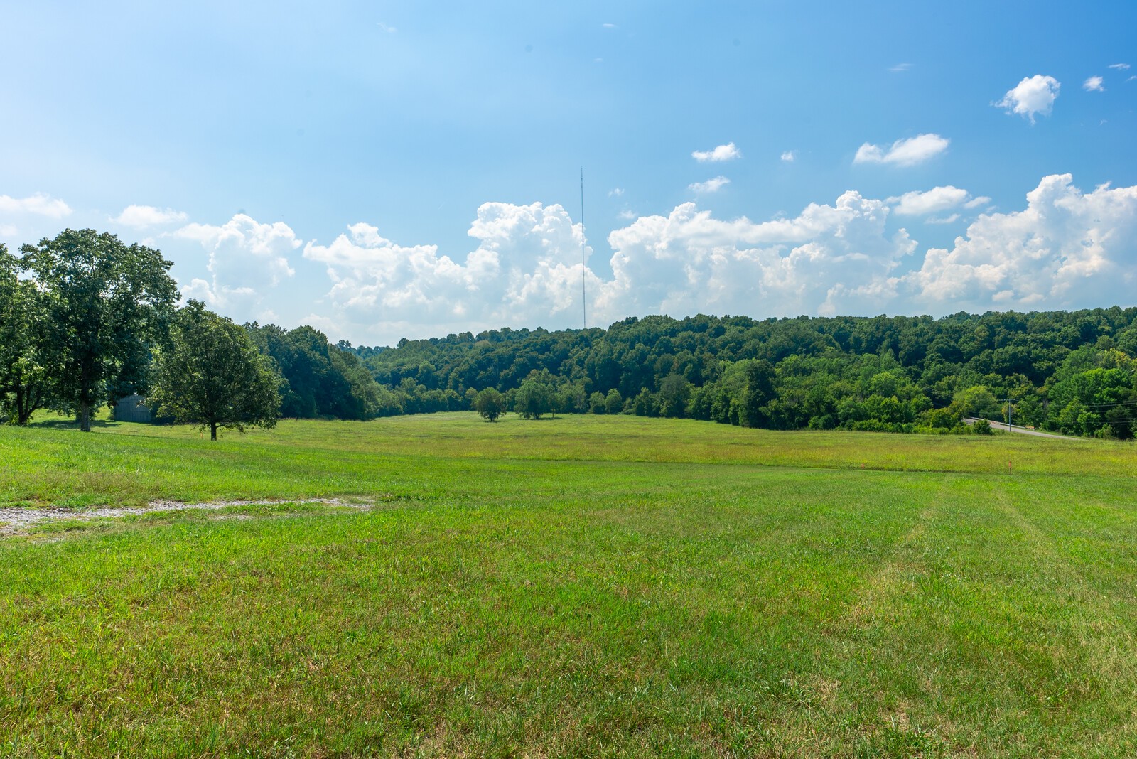 0 Jernigan Road Cross Plains, TN 37049 - Photo 5 of 49 Gallery Image 5