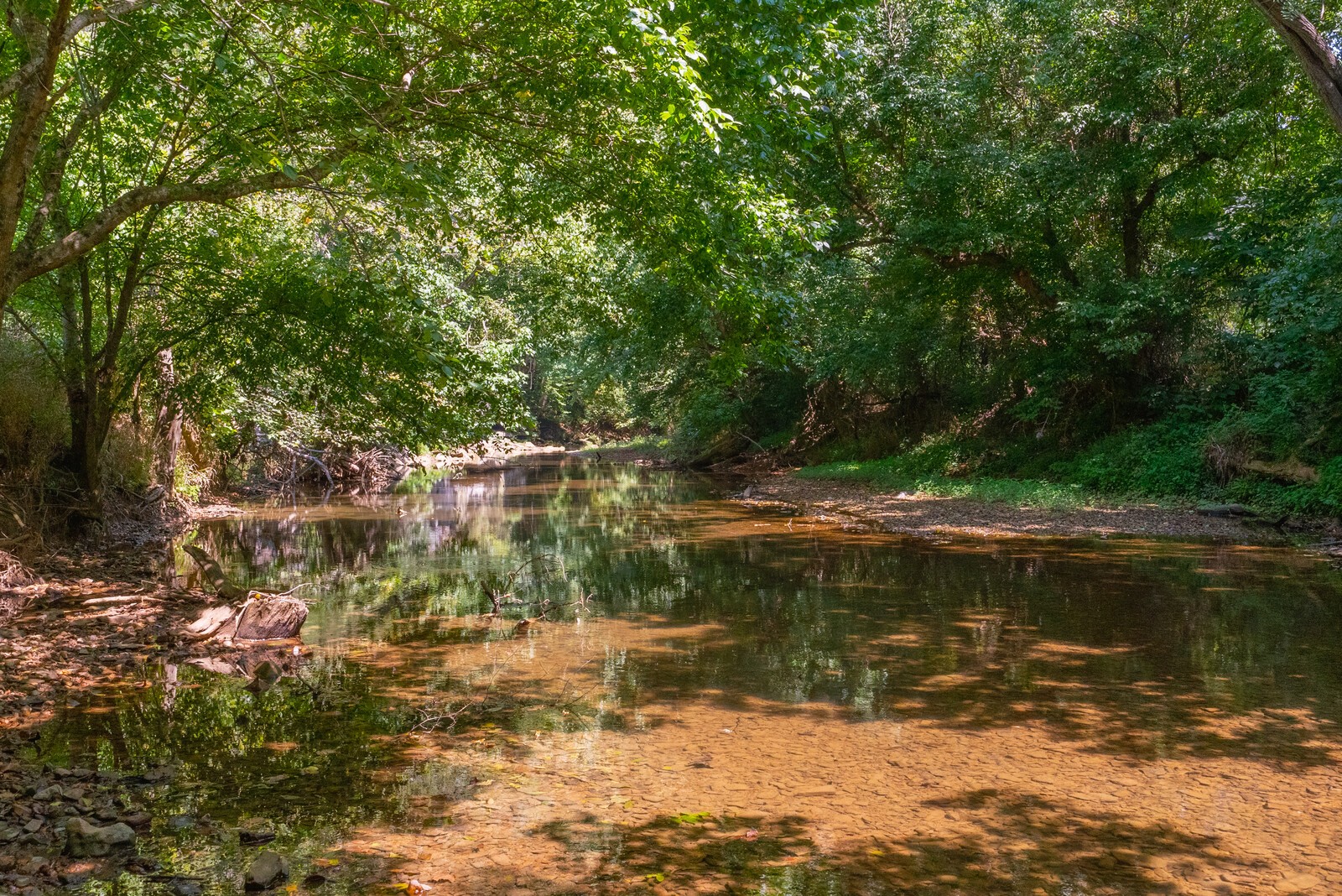 0 Jernigan Road Cross Plains, TN 37049 - Photo 9 of 49 Gallery Image 9