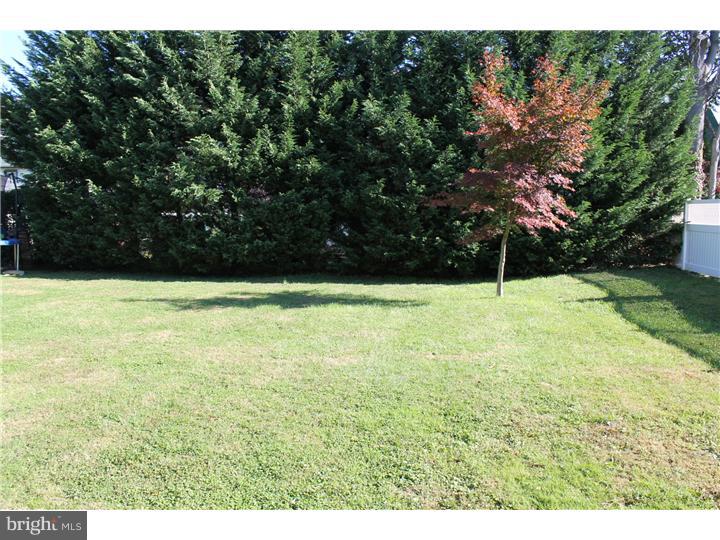 133 Upland Road Havertown, PA 19083 - Photo 6 of 16 Back Yard