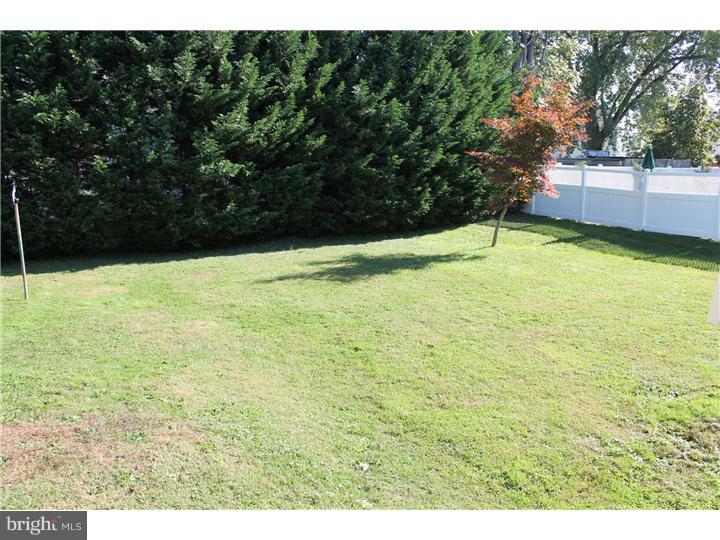 133 Upland Road Havertown, PA 19083 - Photo 7 of 16 Back Yard