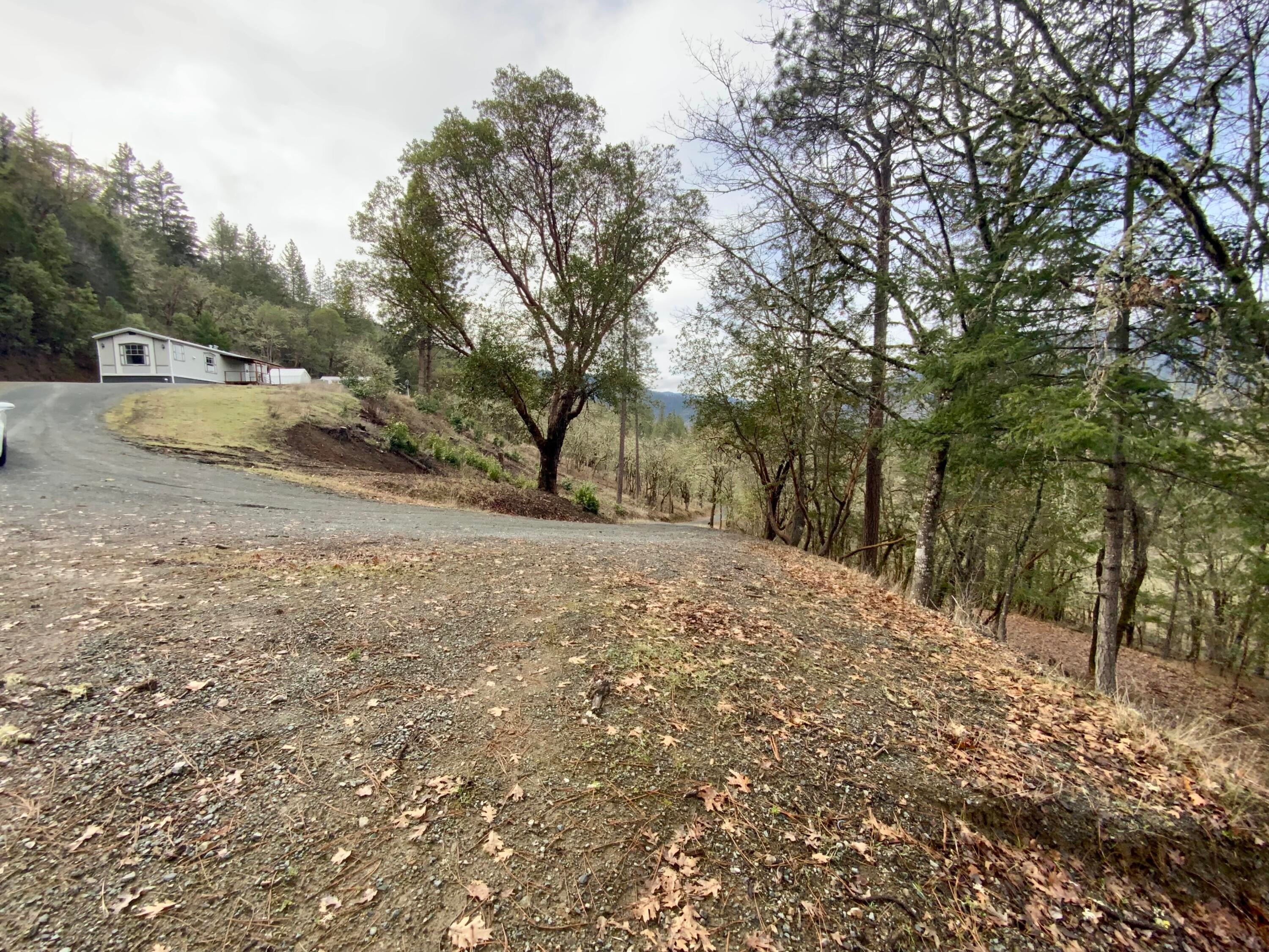 1050 Wards Creek Road, Unit 10700142 Rogue River, OR 97537 - Photo 6 of 26 IMG_2981