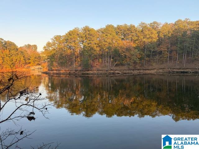 1 County Road 804, Unit 1 Heflin, AL 36264 - Photo 7 of 7