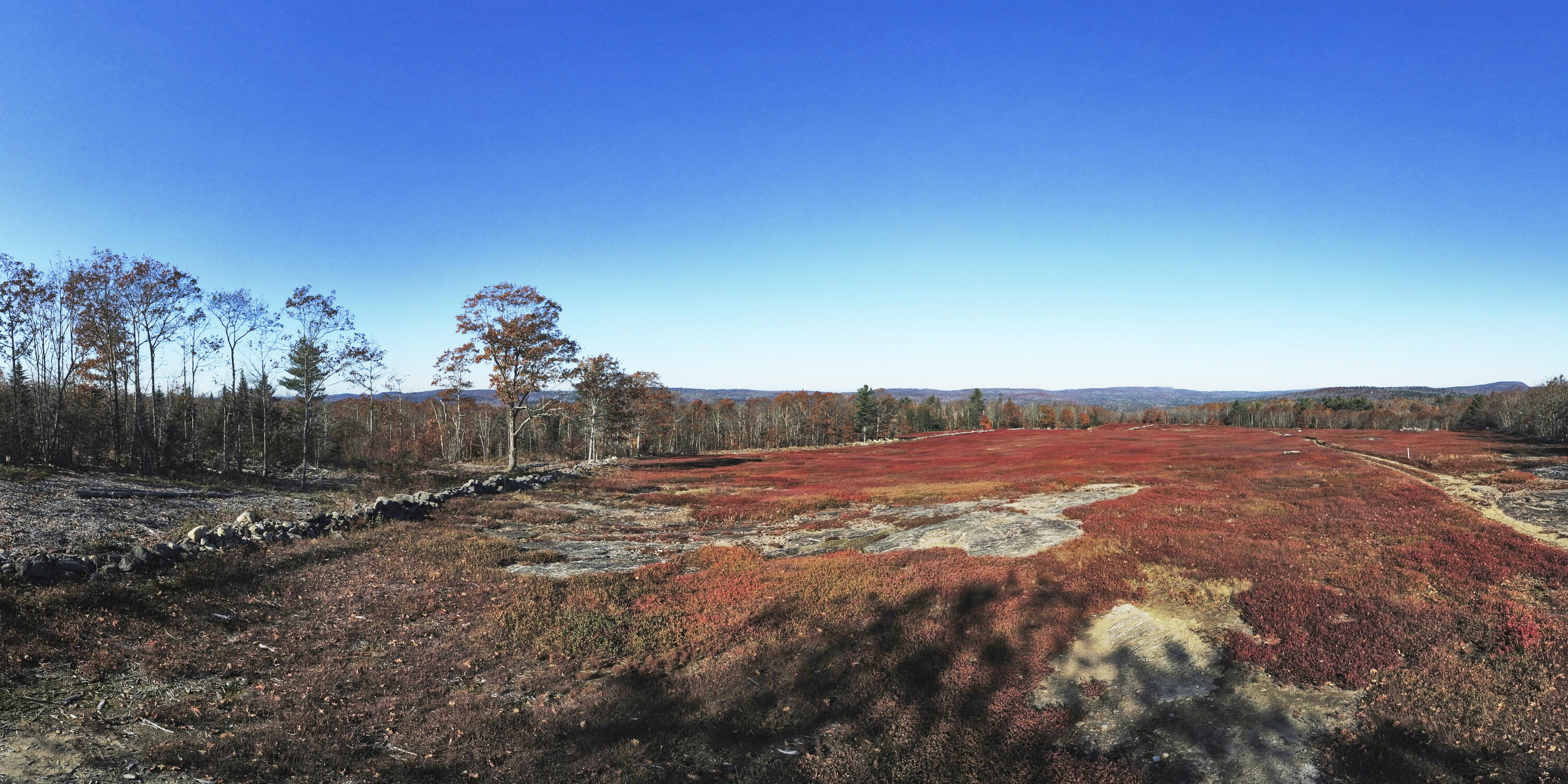 Lot # Bolin Hill Road Liberty, ME 04949 - Photo 7 of 10 Bolin Hill