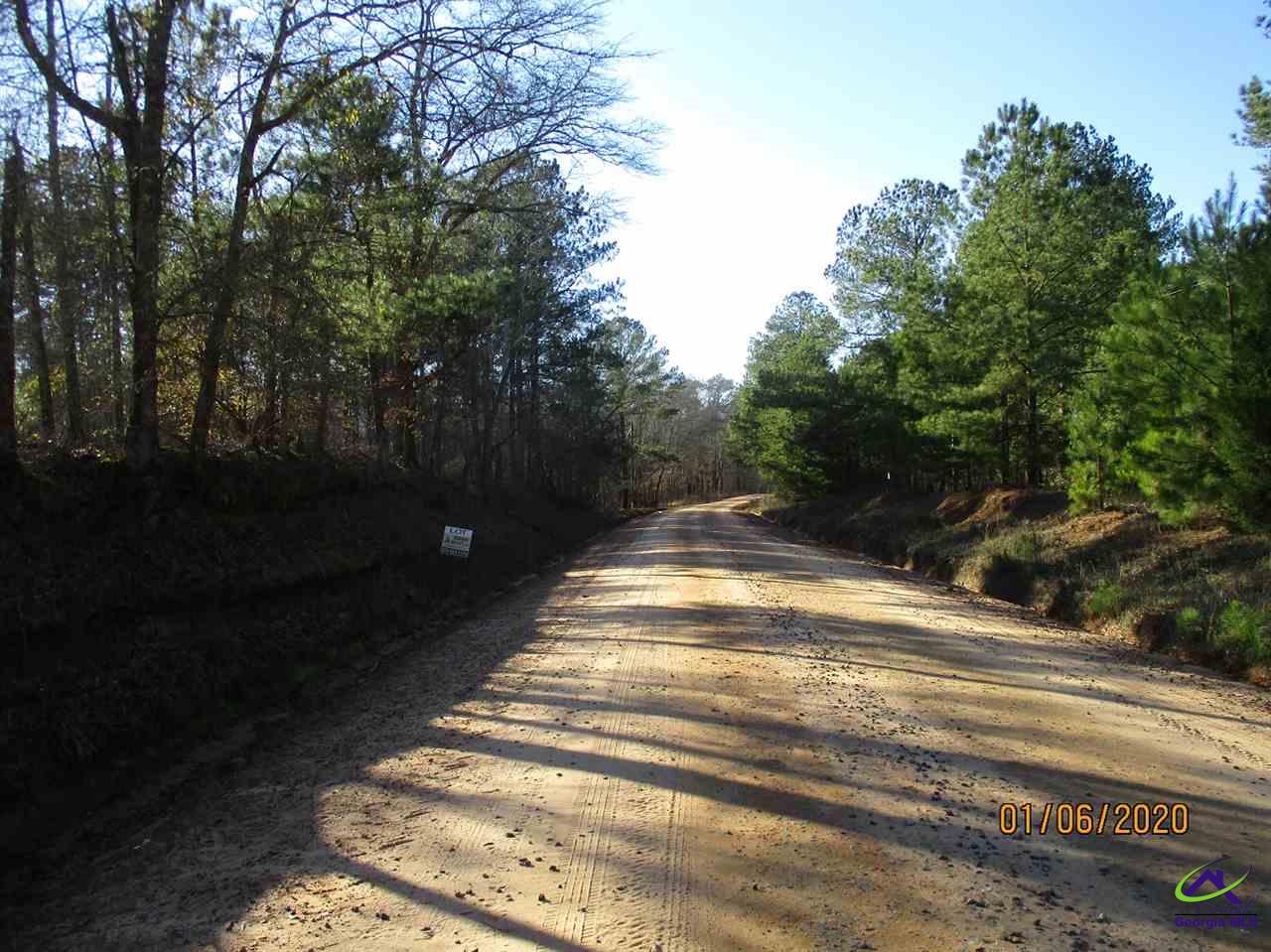 875 East Flournoy Road Hawkinsville, GA 31036 - Photo 5 of 9