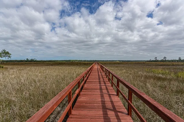 $58,000 | Lot 49 Matthews Launch, White Oak, GA 31568