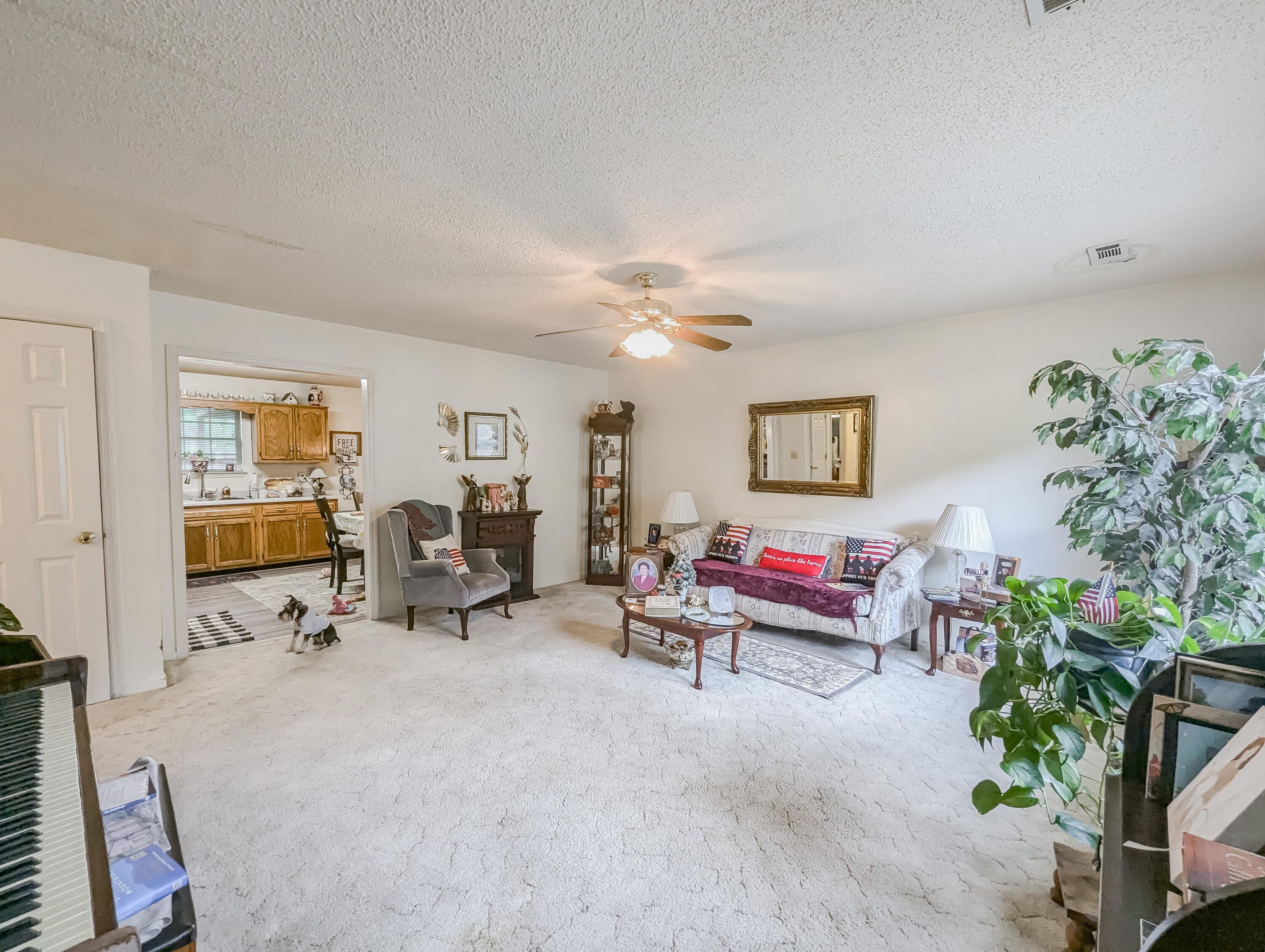 92 Sue Lane Ringgold, GA 30736 - Photo 4 of 12 Living