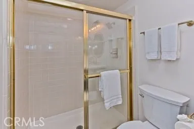 a bathroom with a shower and toilet