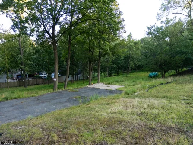 a view of a park with trees