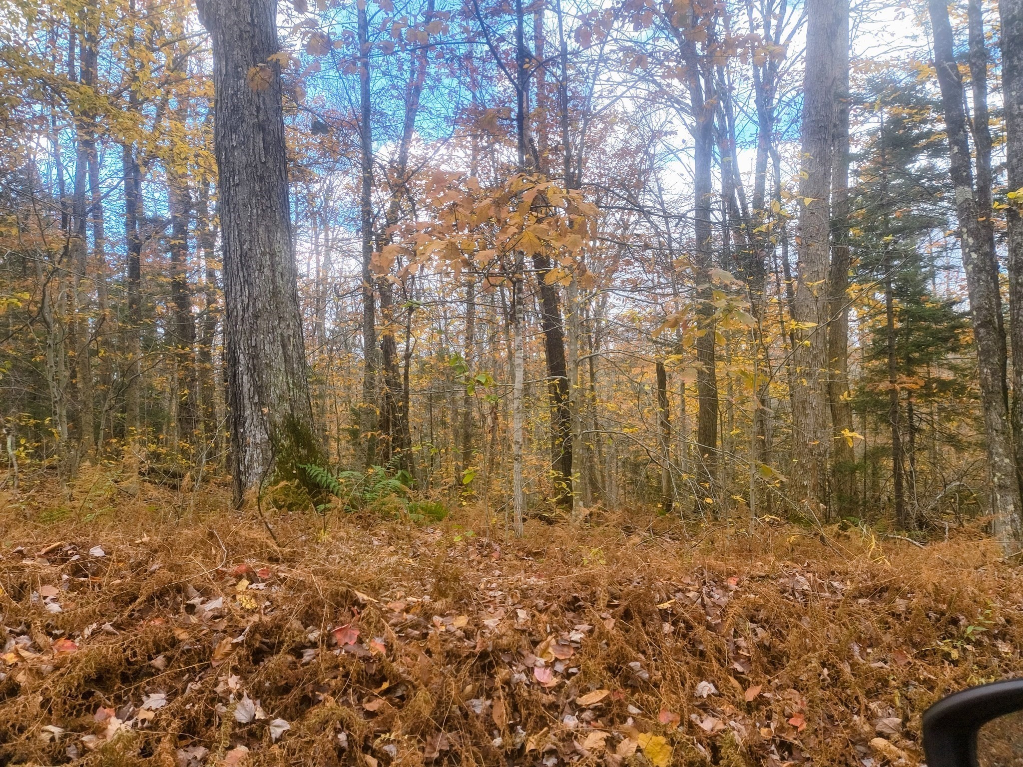 Lot 18 Pierce Road Peru, MA 01235 - Photo 2 of 3 Gallery Image 2