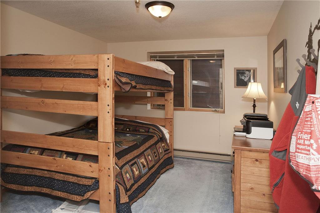 660 Four Oclock Road, Unit 23 Breckenridge, CO 80424 - Photo 22 of 24 Gallery Image 22