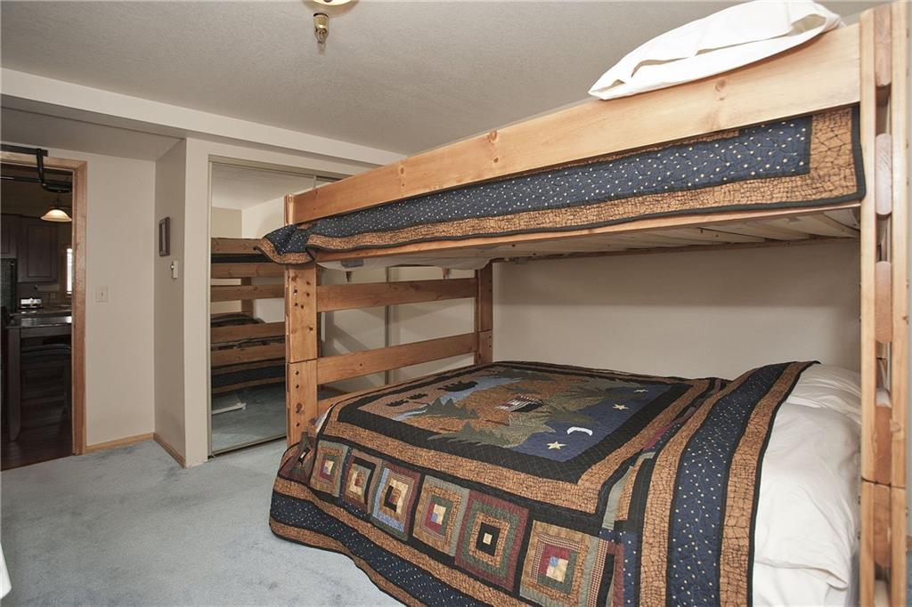 660 Four Oclock Road, Unit 23 Breckenridge, CO 80424 - Photo 24 of 24 Gallery Image 24