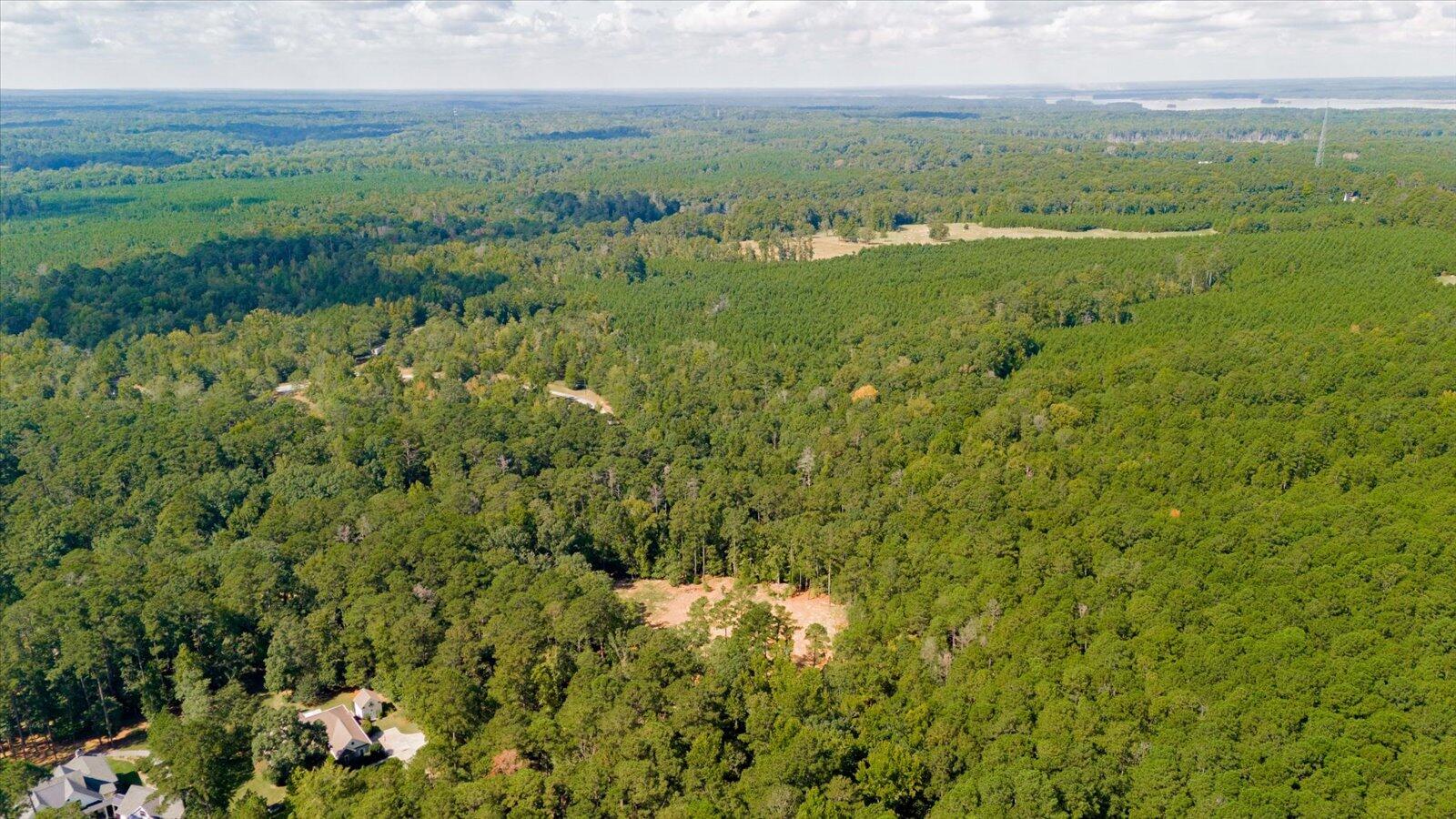 96 Chigoe Lane Appling, GA 30802 - Photo 15 of 40 11-011-