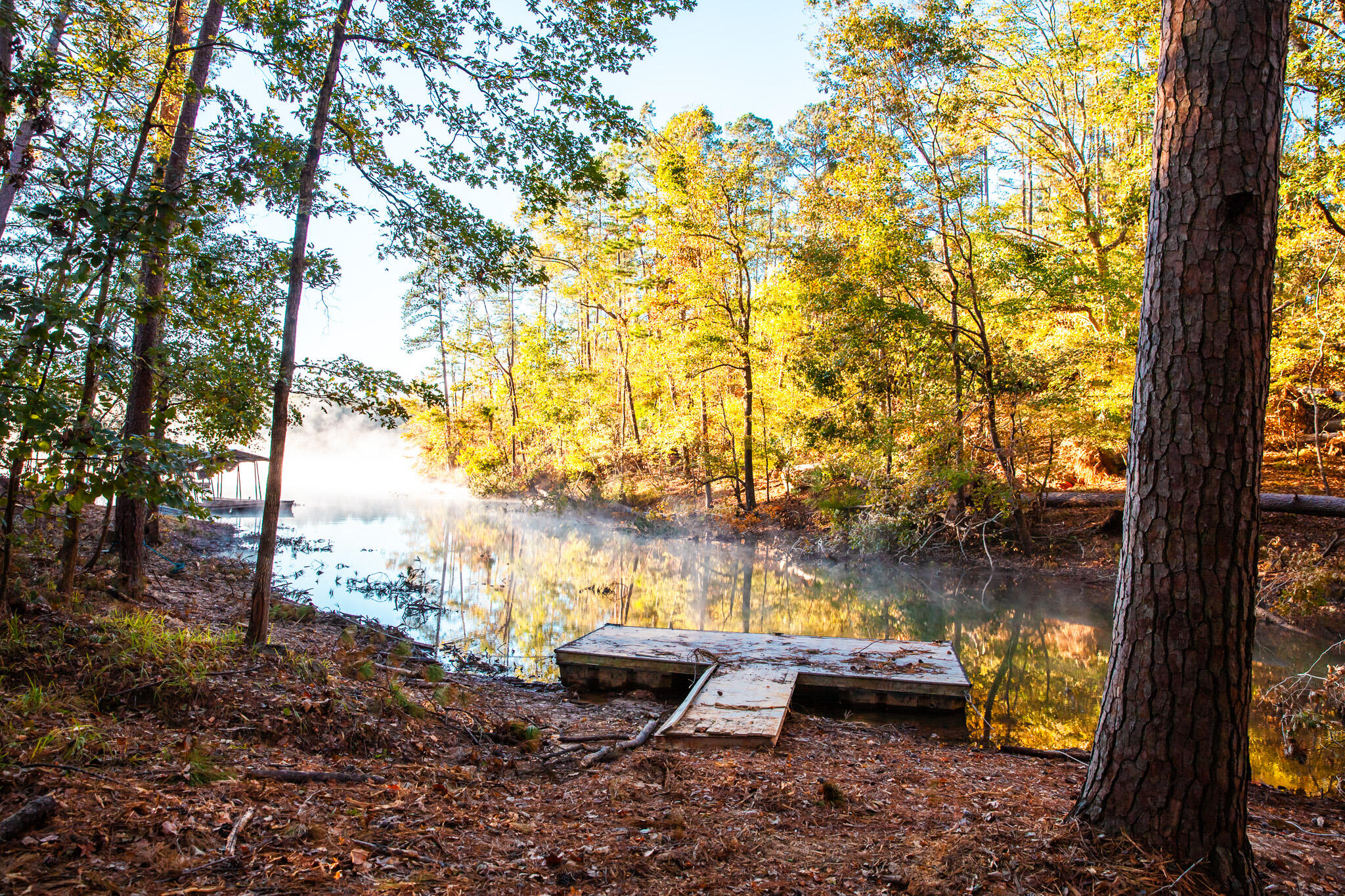 96 Chigoe Lane Appling, GA 30802 - Photo 18 of 40 Dock