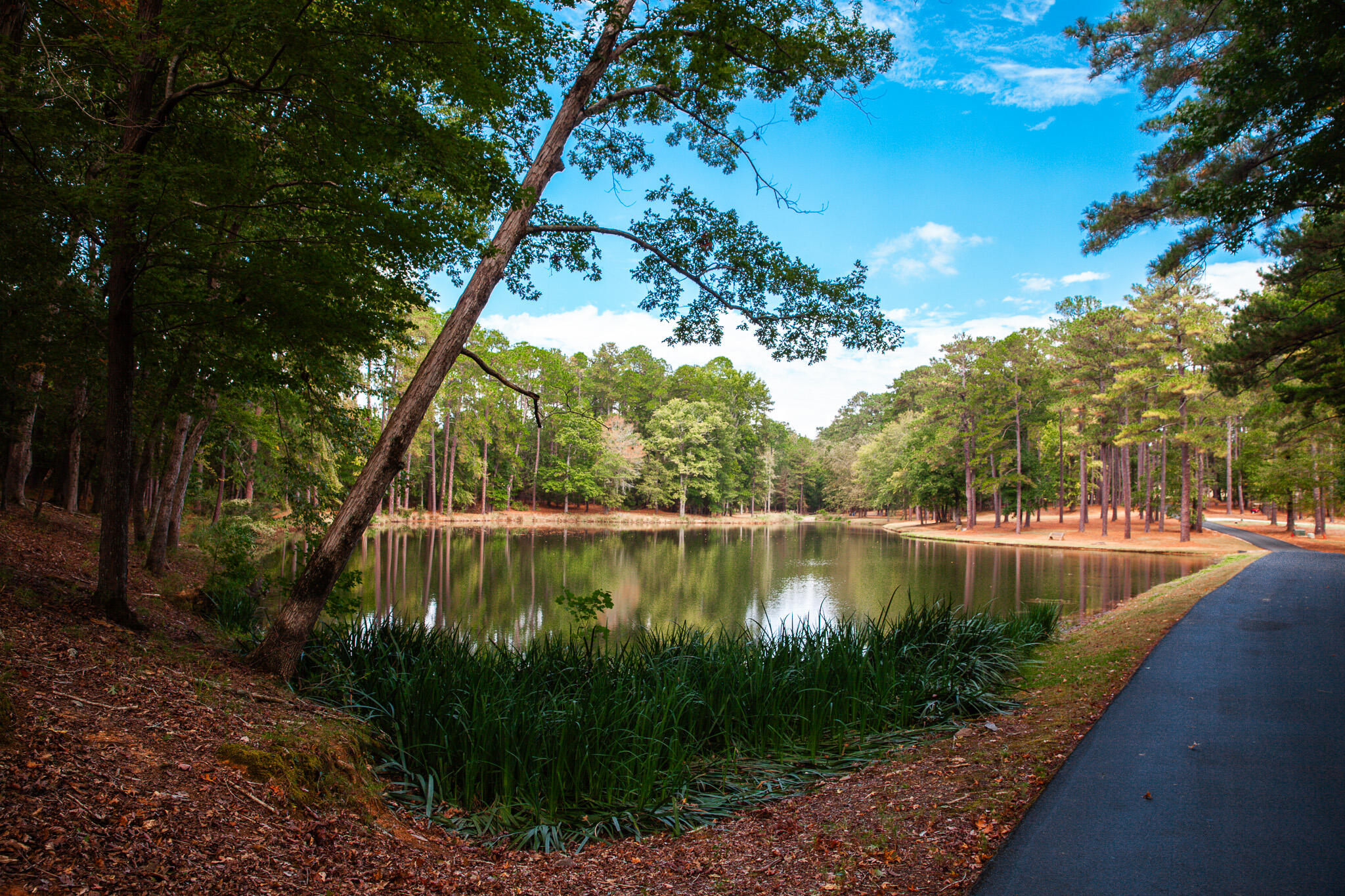 96 Chigoe Lane Appling, GA 30802 - Photo 26 of 40 Community Pond Chigoe Highlands