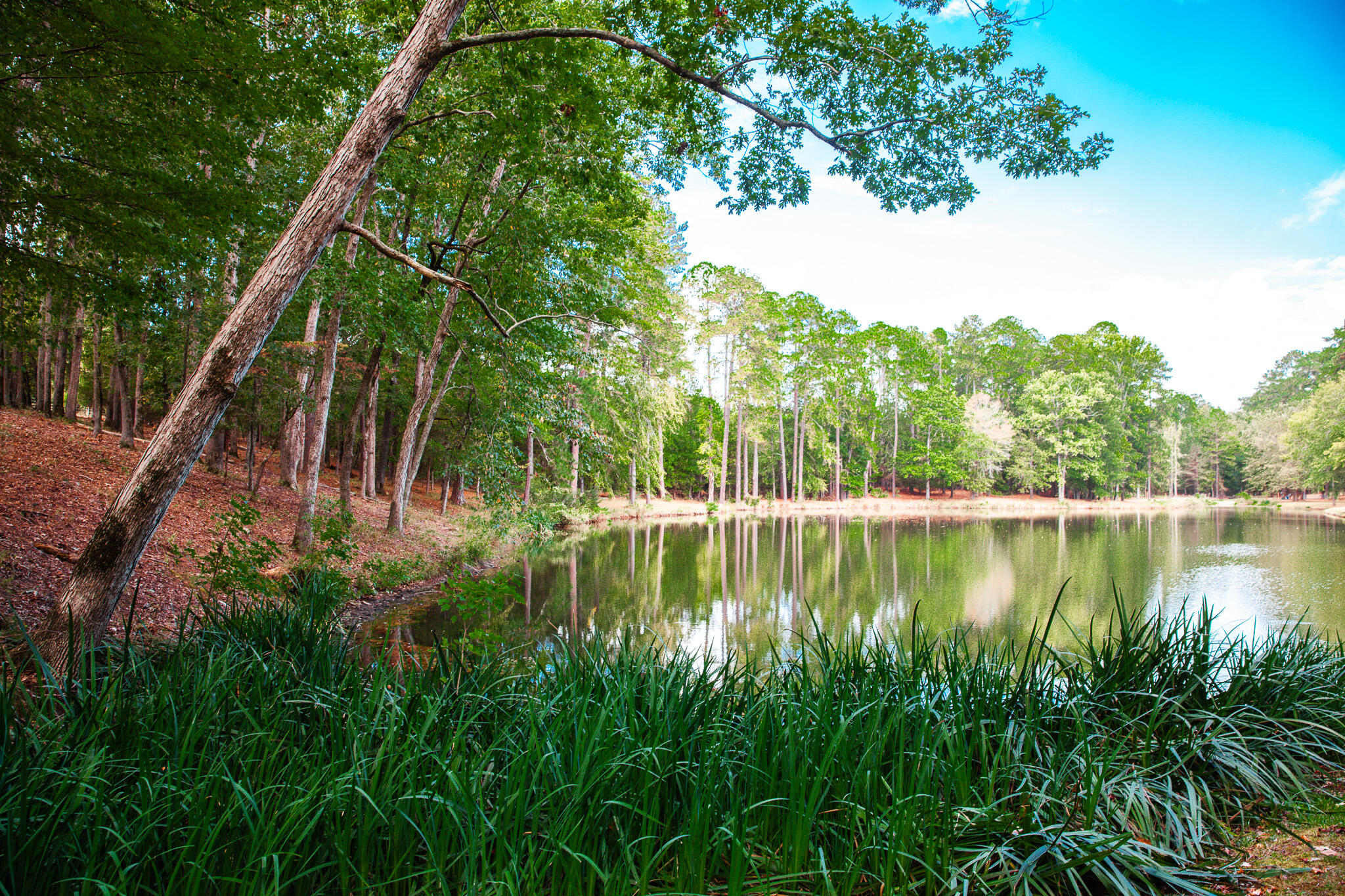 96 Chigoe Lane Appling, GA 30802 - Photo 27 of 40 Community Pond Chigoe Highlands