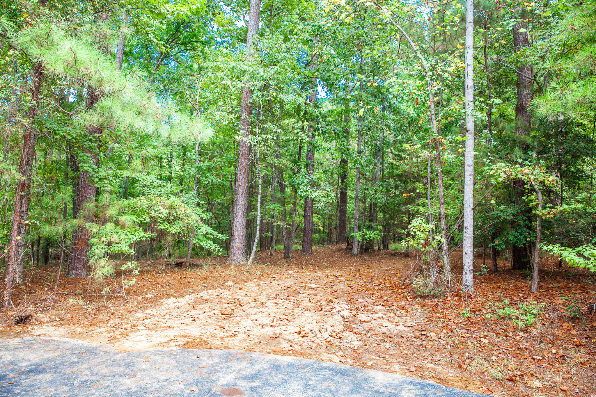 96 Chigoe Lane Appling, GA 30802 - Photo 28 of 40 IMG_2672