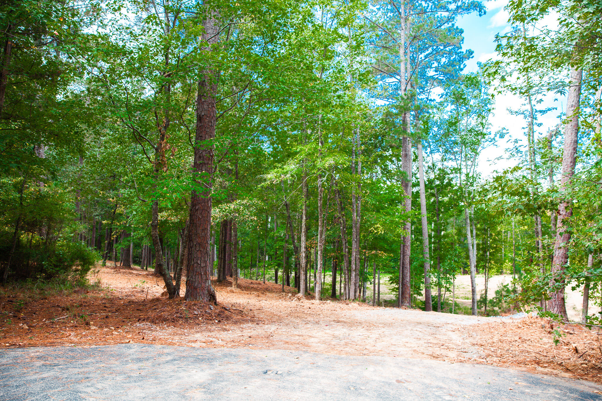 96 Chigoe Lane Appling, GA 30802 - Photo 29 of 40 IMG_2673