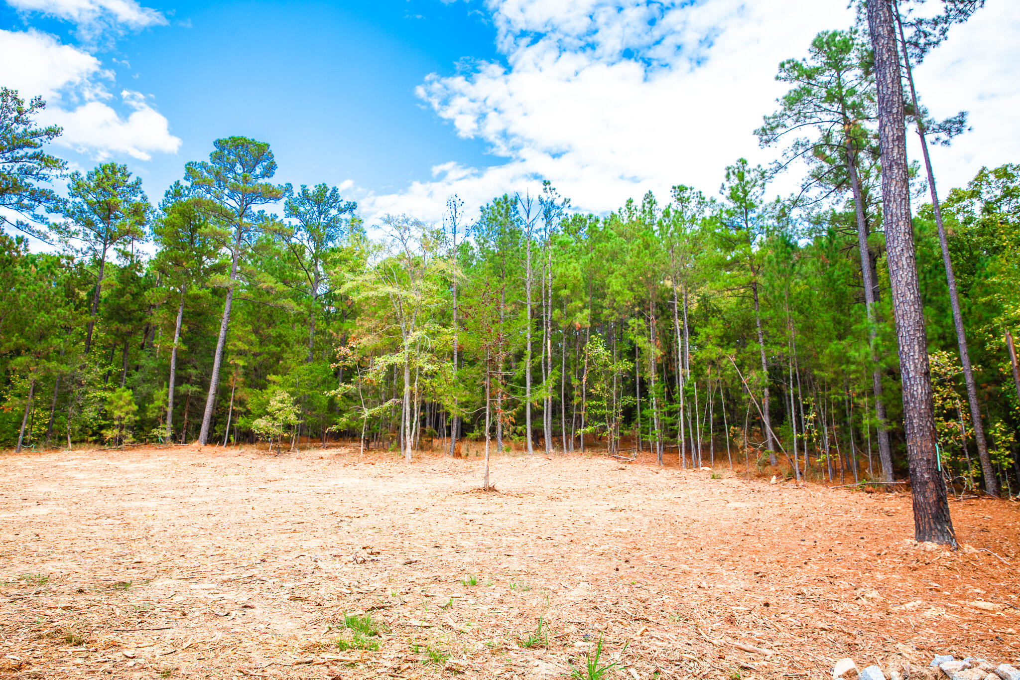 96 Chigoe Lane Appling, GA 30802 - Photo 36 of 40 Cleared homesite