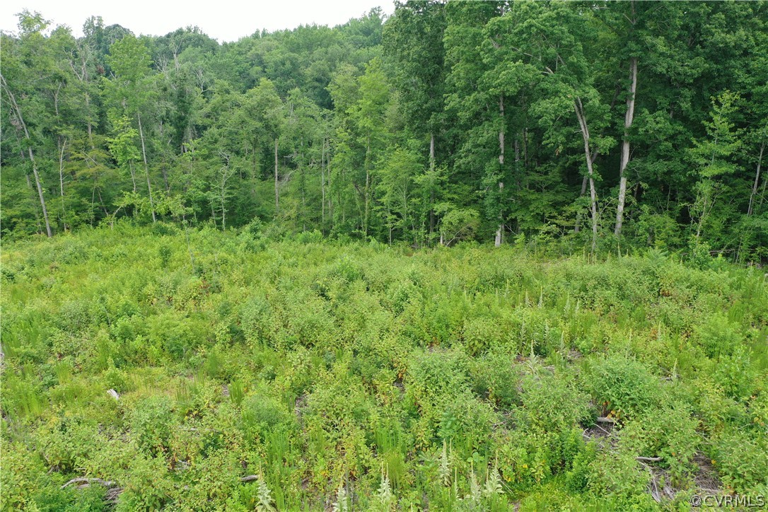 2 Cox Road Wilsons, VA 23894 - Photo 21 of 28