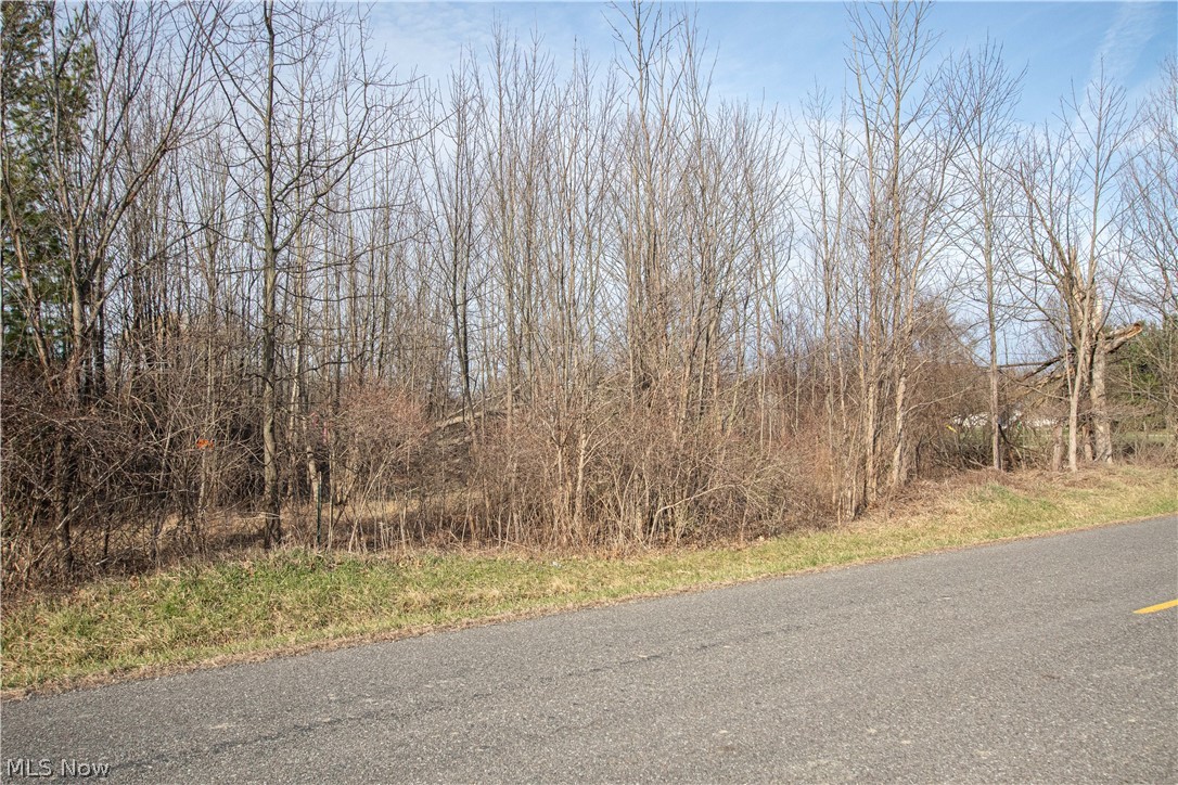 9608 Norwalk Road Litchfield, OH 44253 - Photo 40 of 48