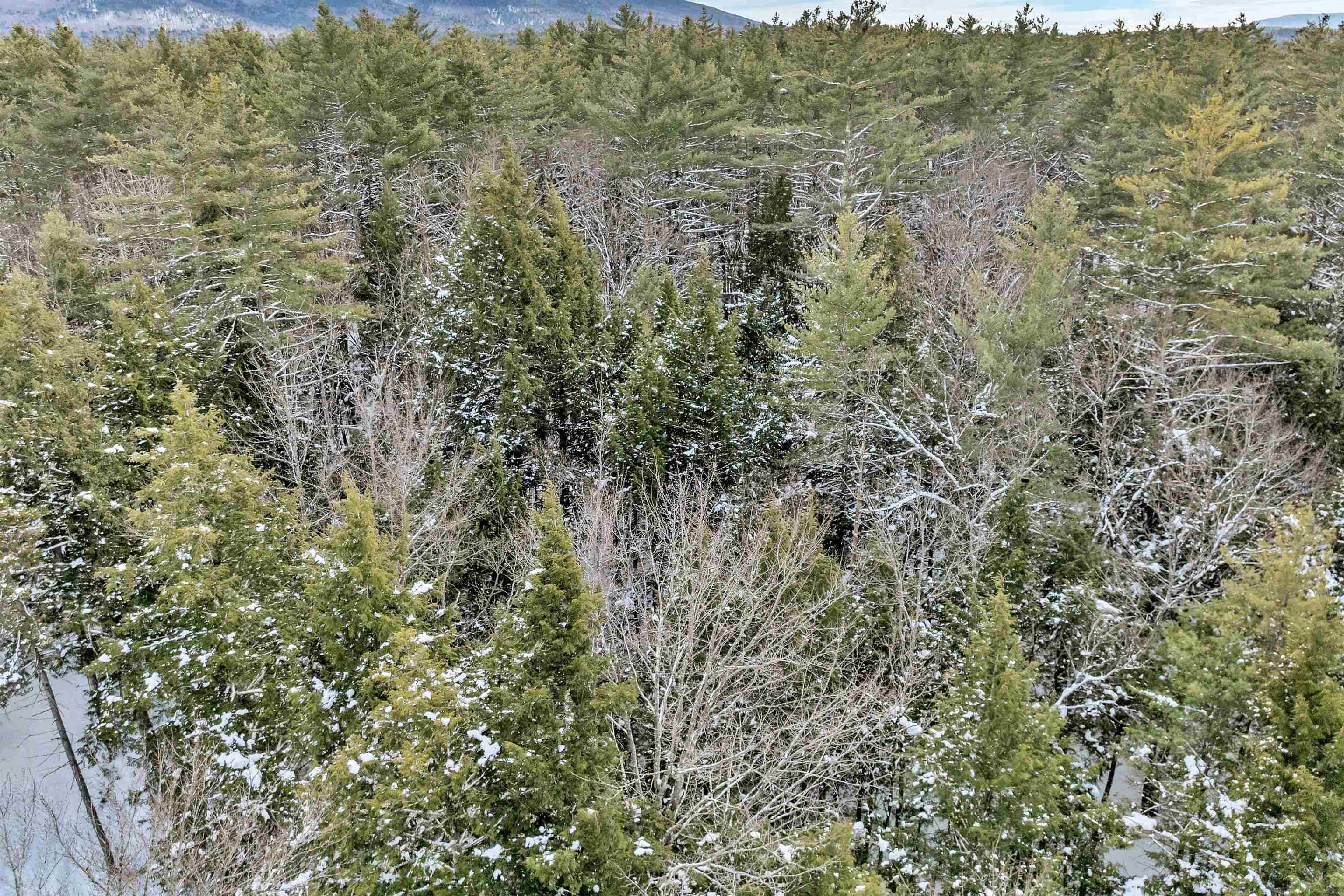 0 Miles Pond Road, Unit 12 North Sandwich, NH 03259 - Photo 11 of 28 Gallery Image 11