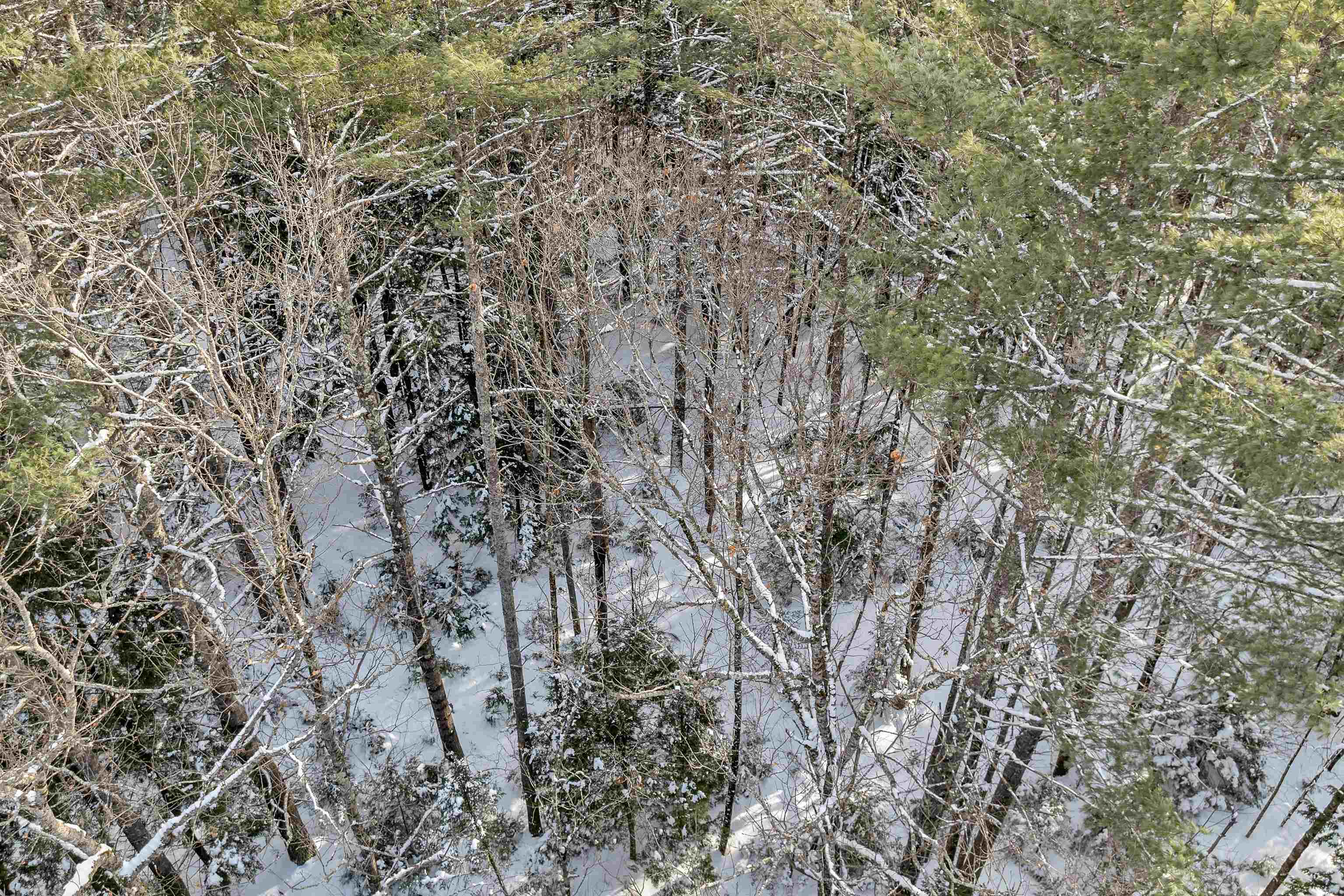 0 Miles Pond Road, Unit 12 North Sandwich, NH 03259 - Photo 17 of 28 Gallery Image 17