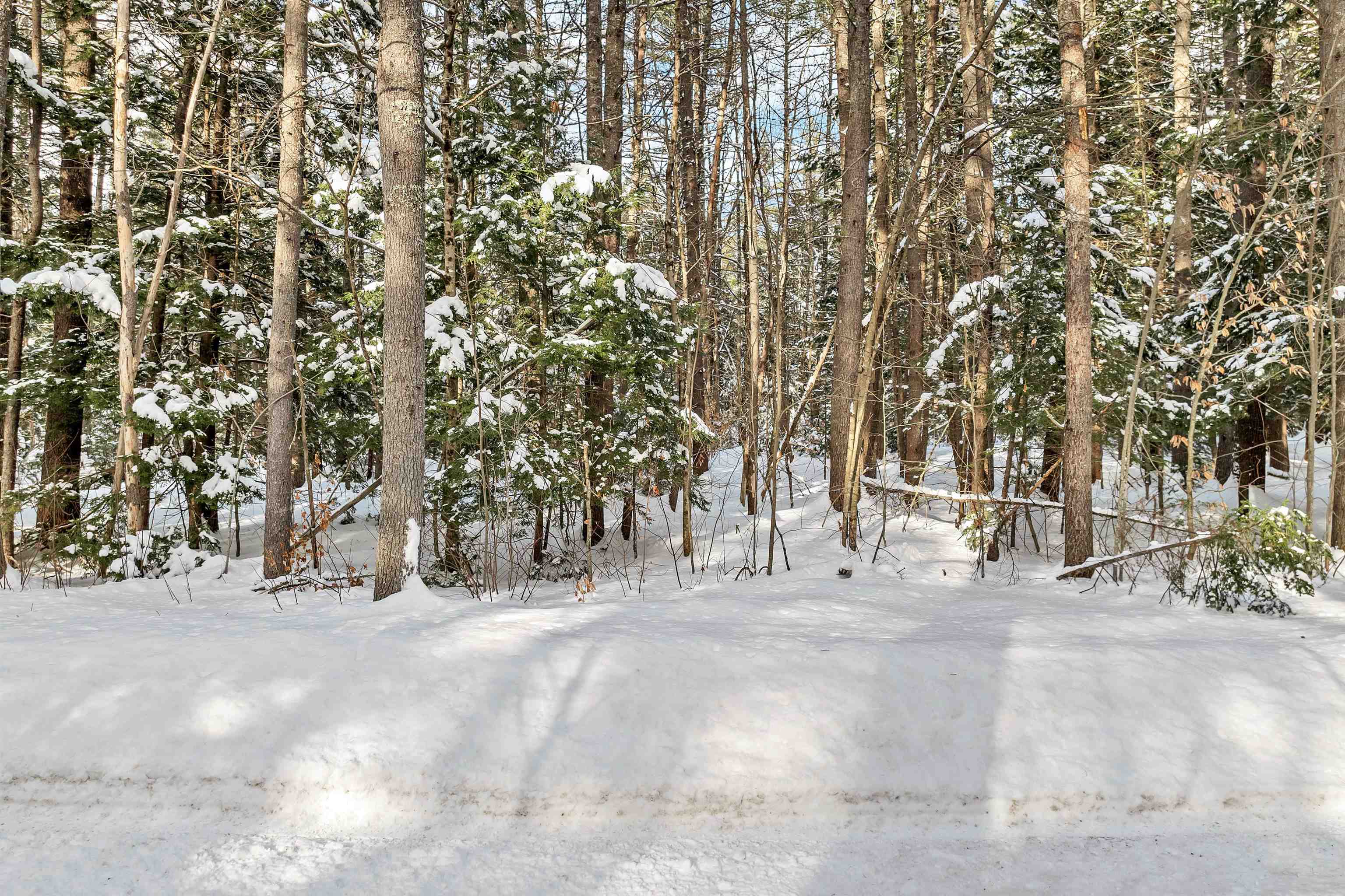 0 Miles Pond Road, Unit 12 North Sandwich, NH 03259 - Photo 19 of 28 Gallery Image 19