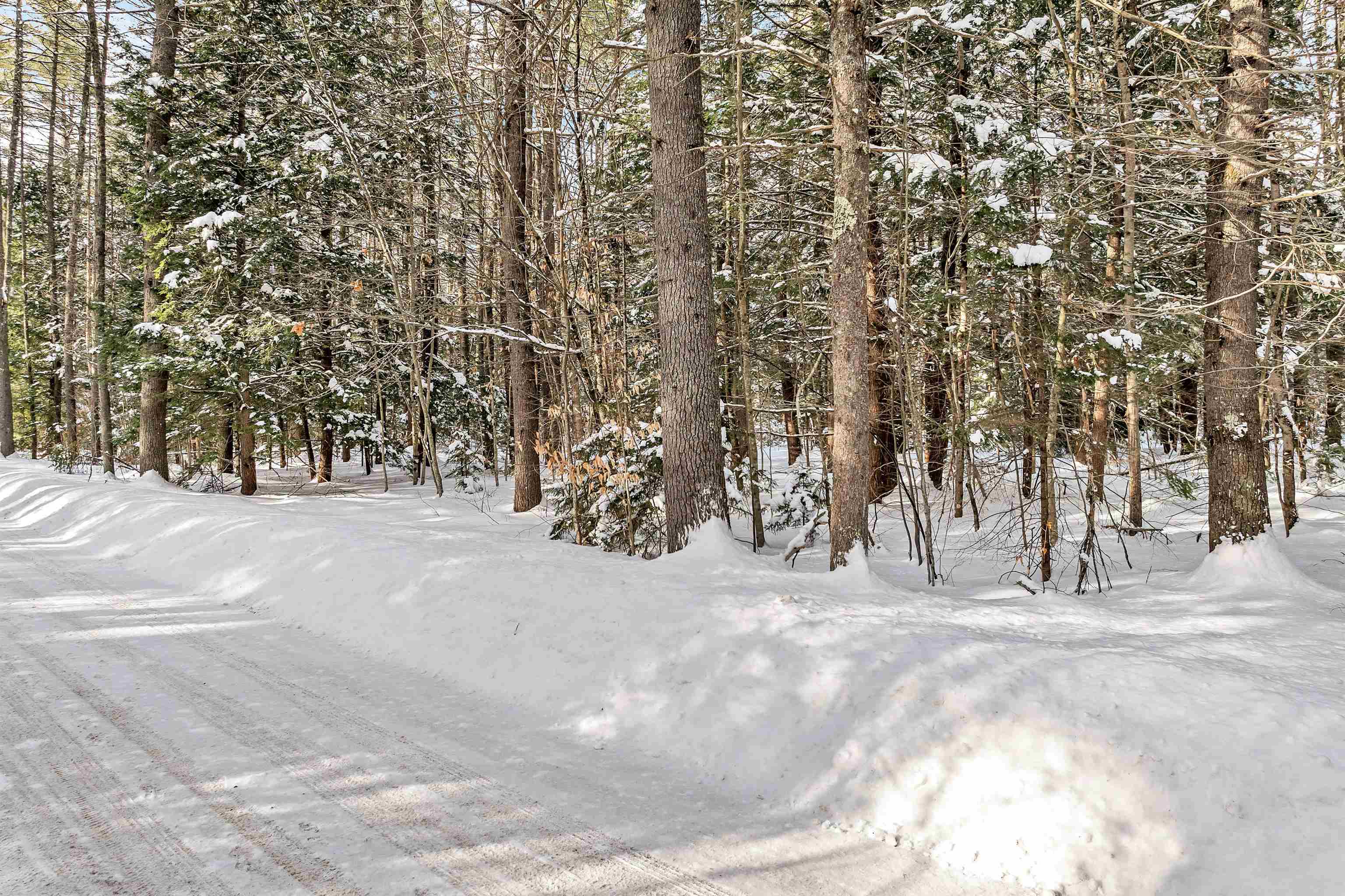 0 Miles Pond Road, Unit 12 North Sandwich, NH 03259 - Photo 2 of 28 Gallery Image 2