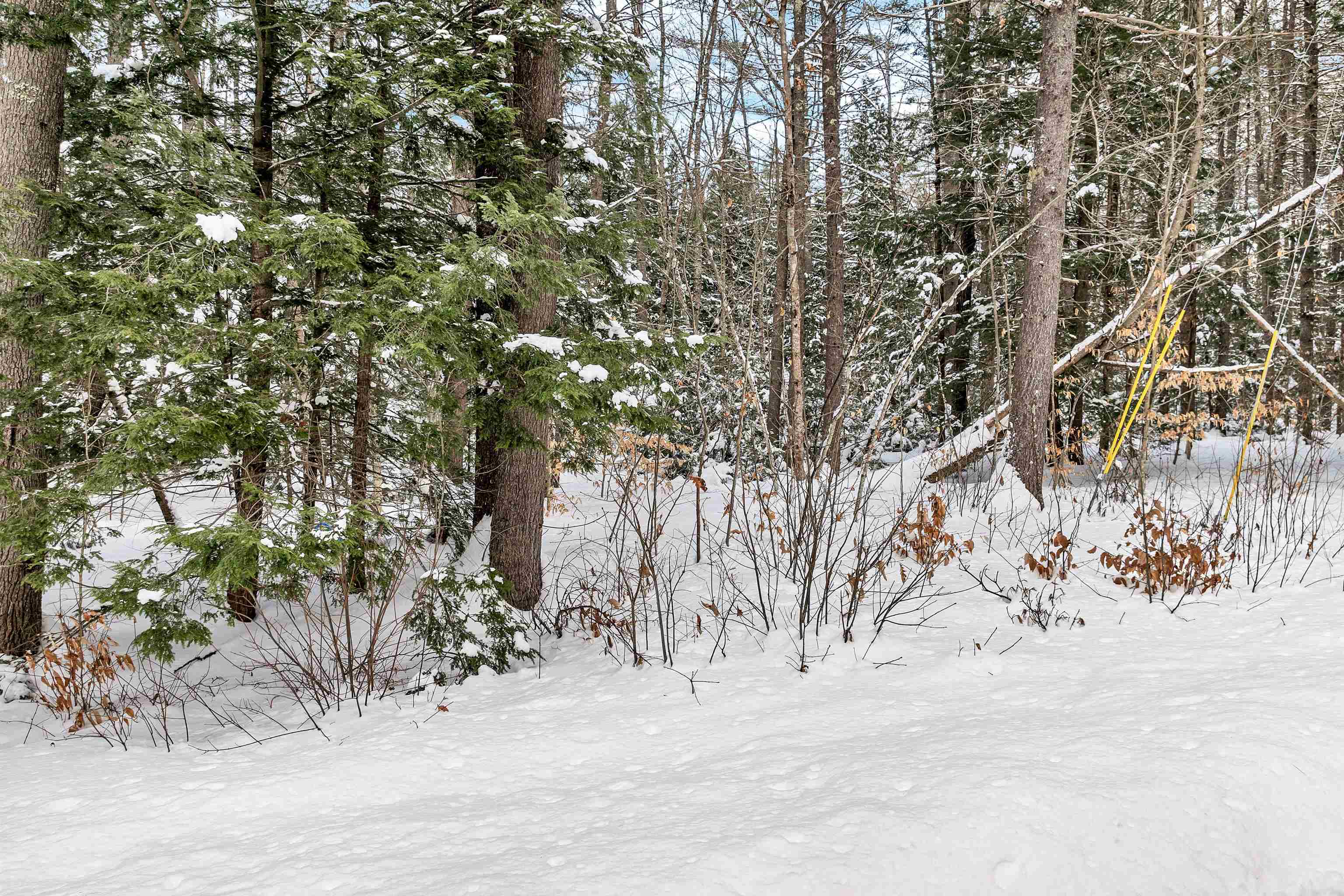 0 Miles Pond Road, Unit 12 North Sandwich, NH 03259 - Photo 22 of 28 Gallery Image 22