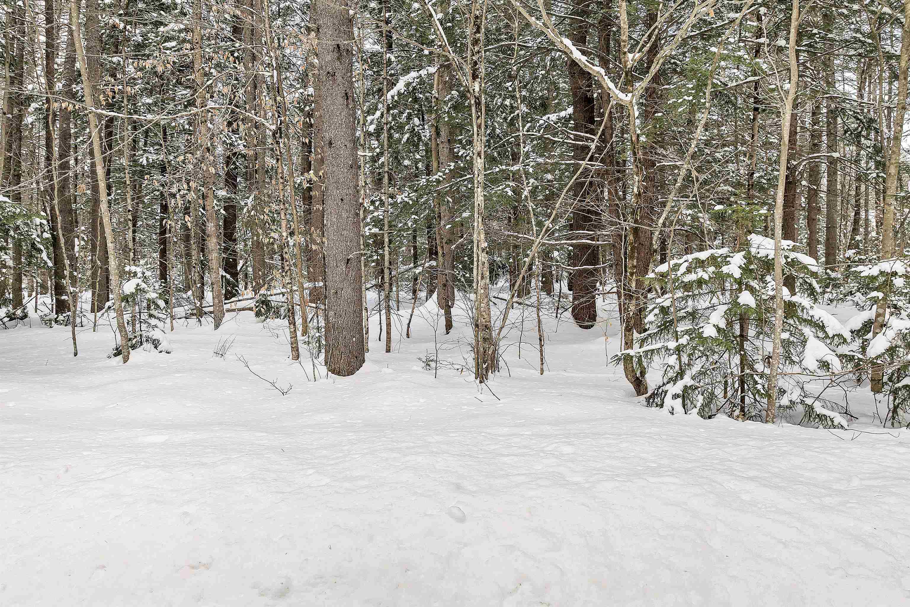 0 Miles Pond Road, Unit 12 North Sandwich, NH 03259 - Photo 23 of 28 Gallery Image 23