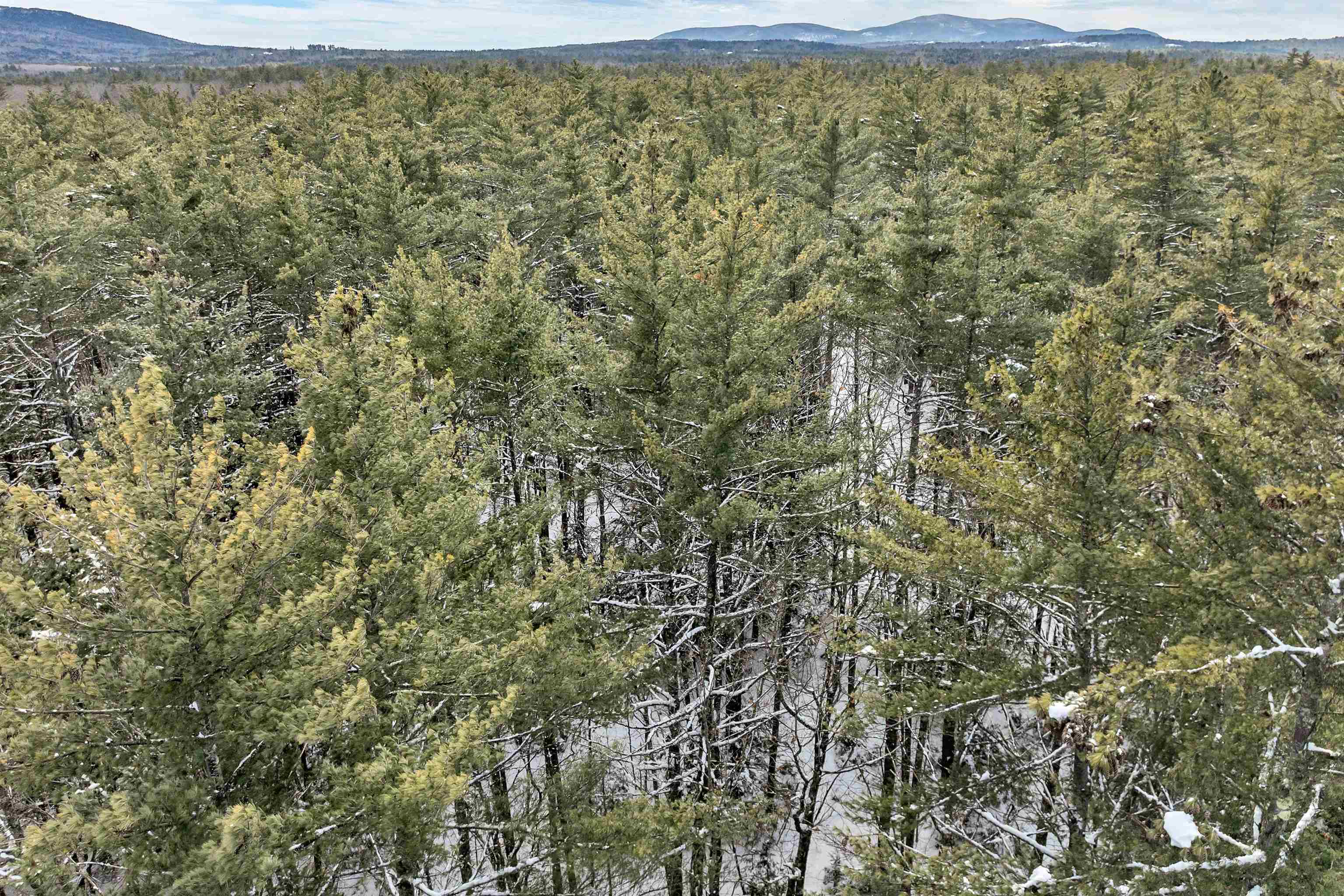 0 Miles Pond Road, Unit 12 North Sandwich, NH 03259 - Photo 7 of 28 Gallery Image 7