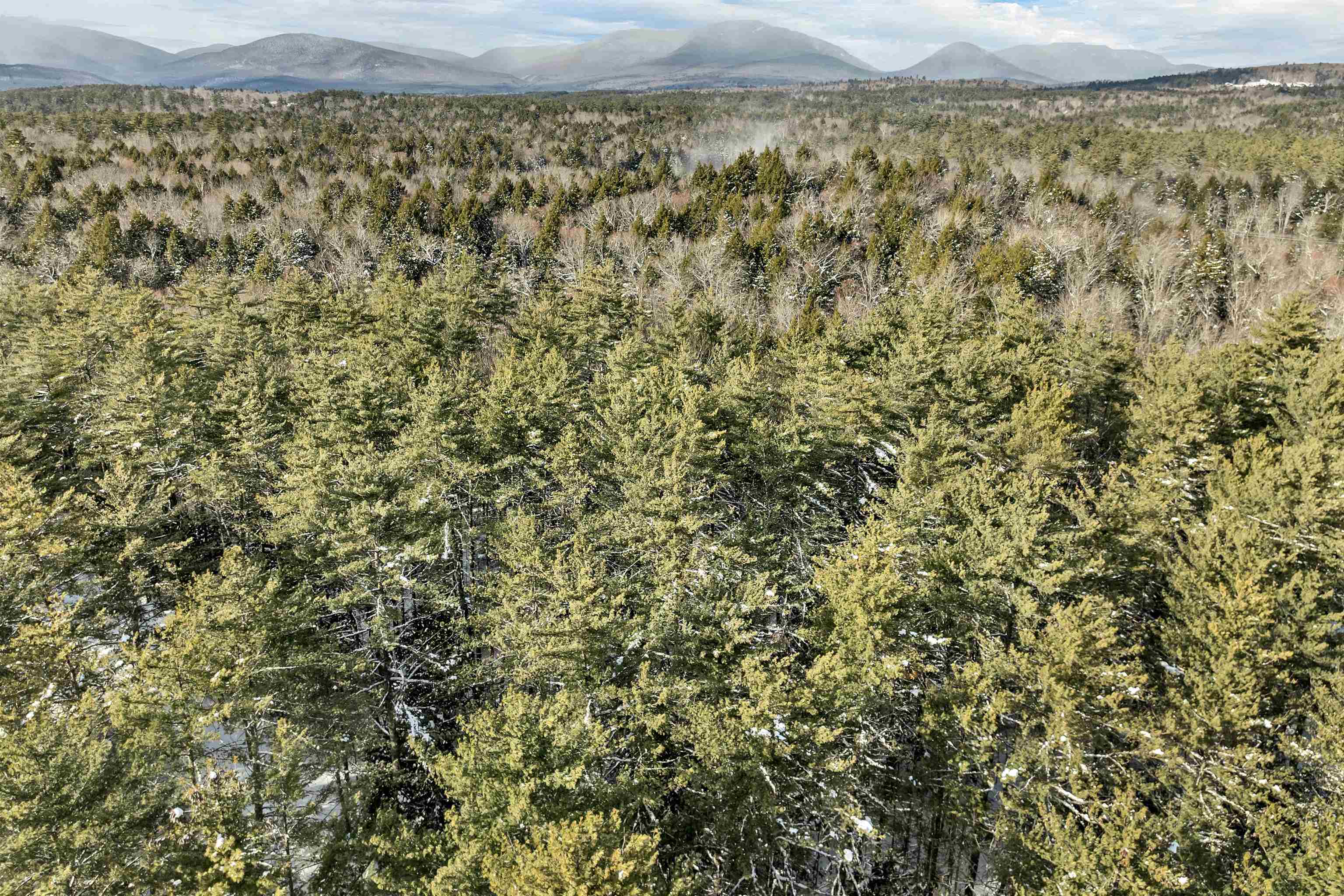 0 Miles Pond Road, Unit 12 North Sandwich, NH 03259 - Photo 8 of 28 Gallery Image 8