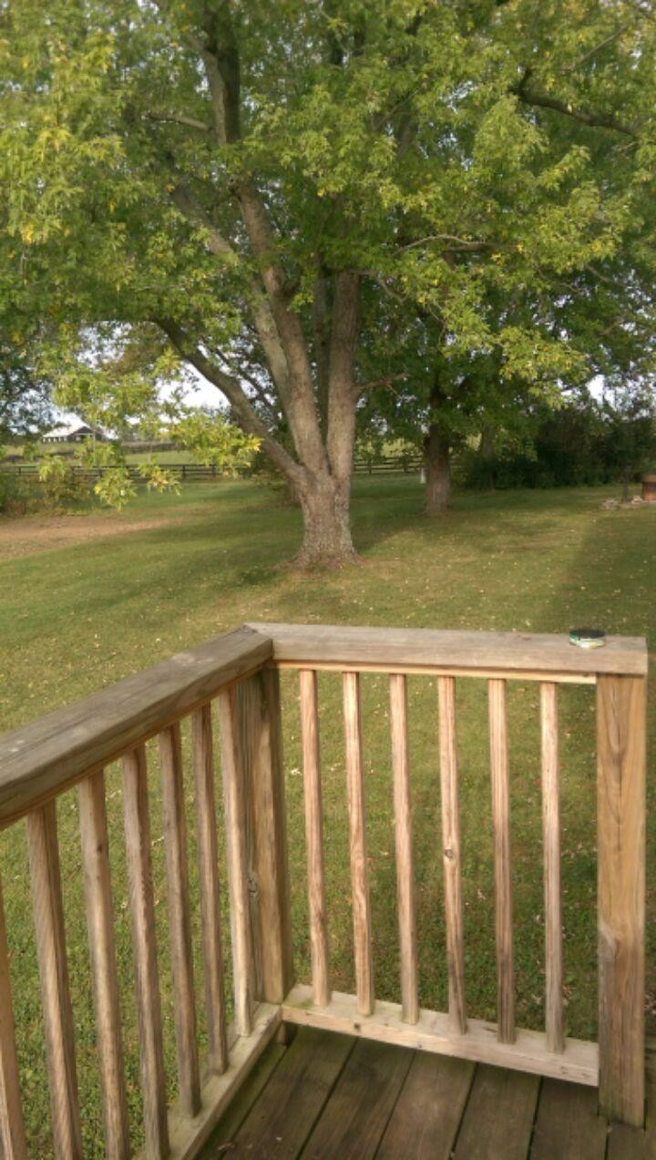1742 Stamping Ground Road Georgetown, KY 40324 - Photo 5 of 22 Photo 5