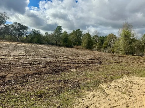 a view of dirt field with trees in the background