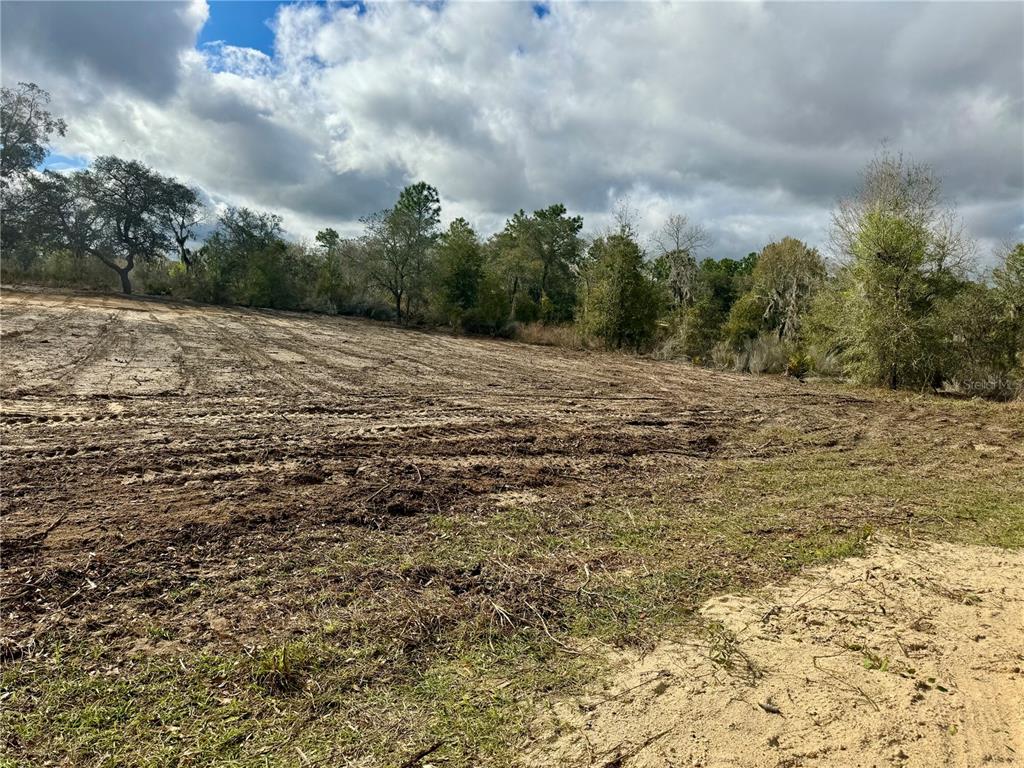 Tbd Northeast 108th Terrace Archer, FL 32618 - Photo 3 of 6 a view of dirt field with trees in the background
