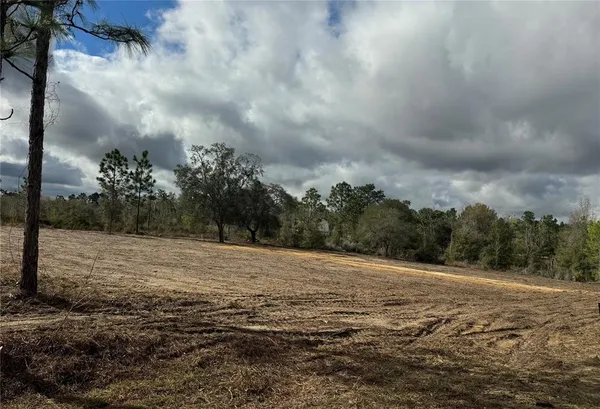 a view of a field with trees in background