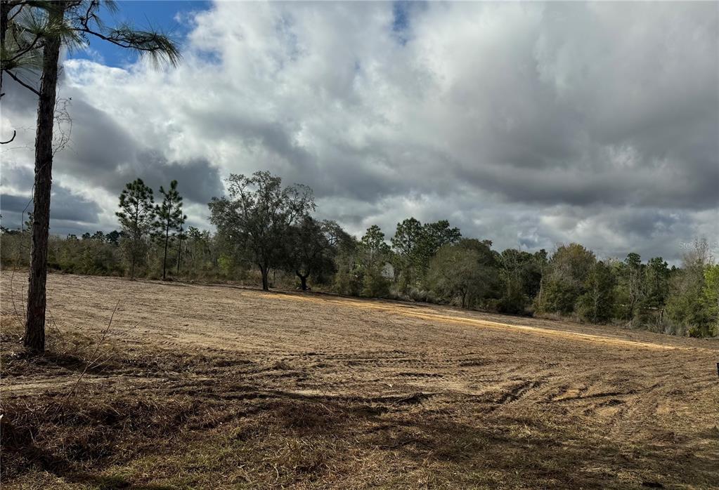 Tbd Northeast 108th Terrace Archer, FL 32618 - Photo 4 of 6 a view of a field with trees in background