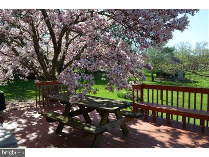 613 Landis Road Telford, PA 18969 - Photo 18 of 21 Deck