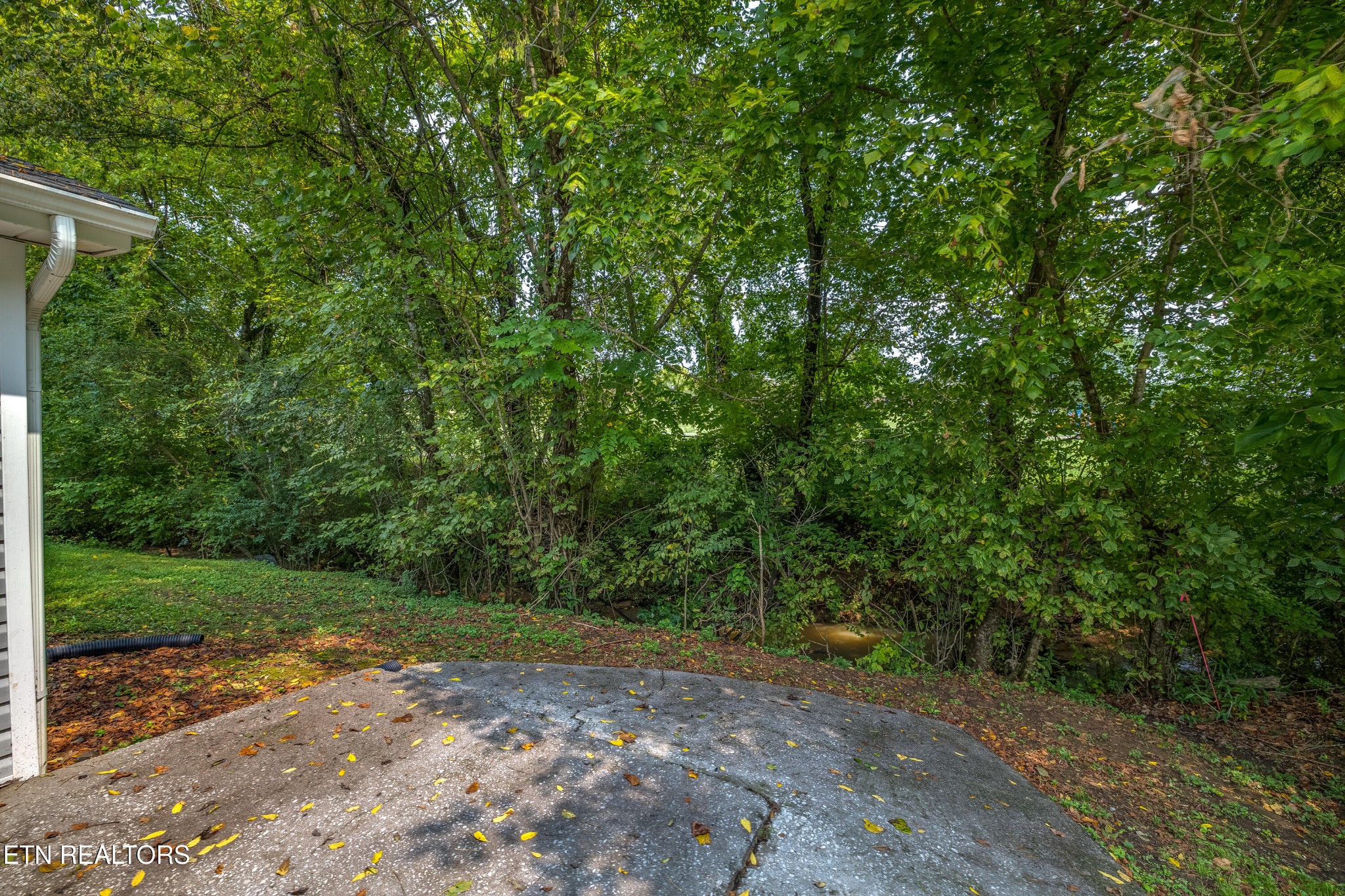 4707 Wildwood Road Maryville, TN 37804 - Photo 17 of 18 a view of a yard with a trees