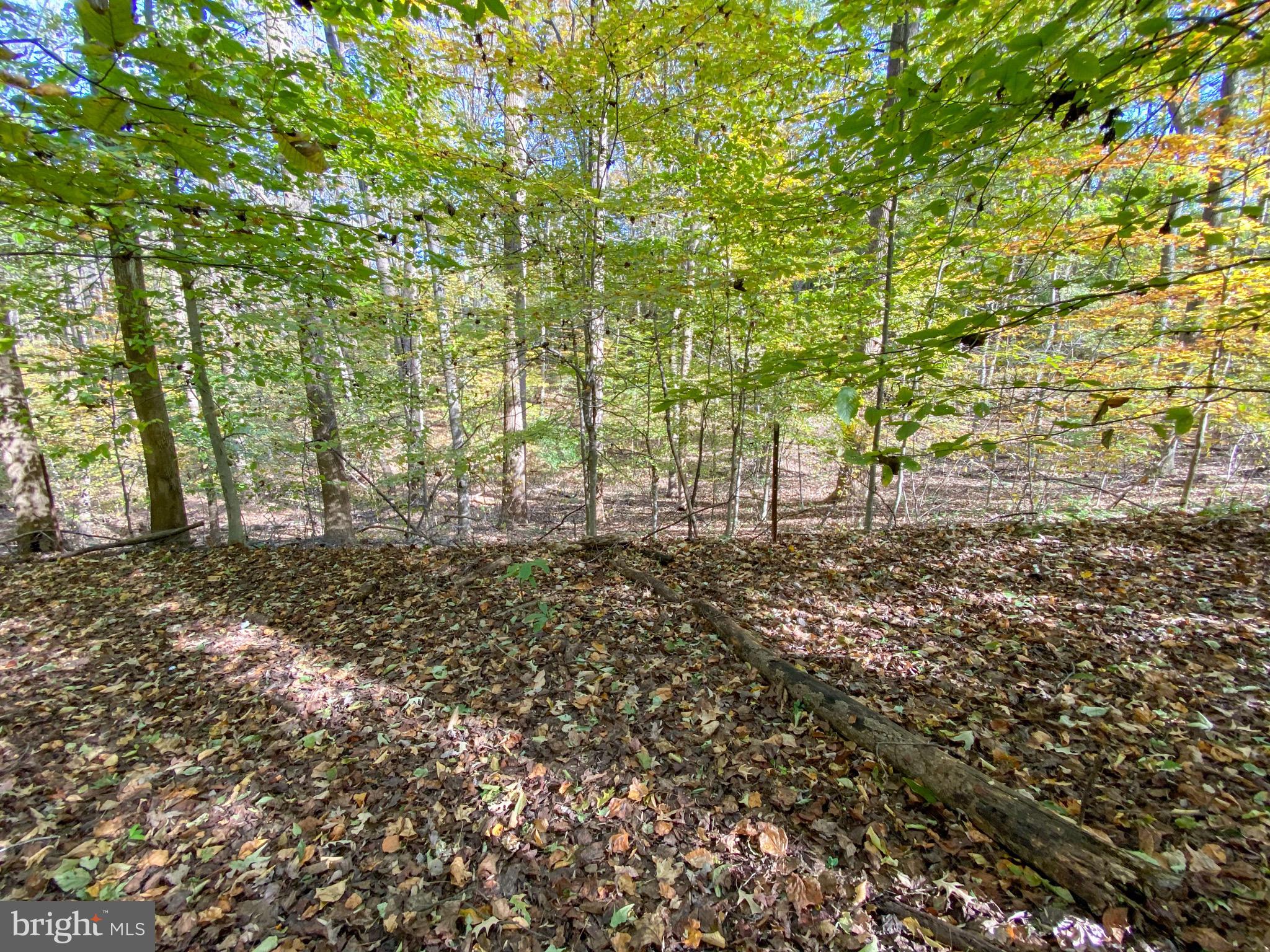 240 Grays Road Lothian, MD 20711 - Photo 76 of 80 Gallery Image 76