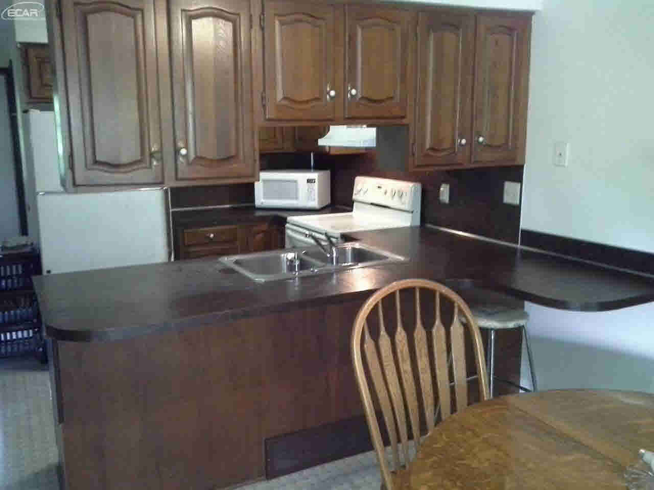 12220 East Lovejoy Road Byron, MI 48418 - Photo 3 of 14 21223541-2.JPG