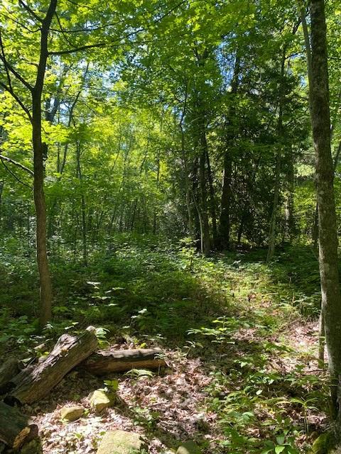 Lakeview Road Ellison Bay, WI 54210 - Photo 11 of 23 Gallery Image 11