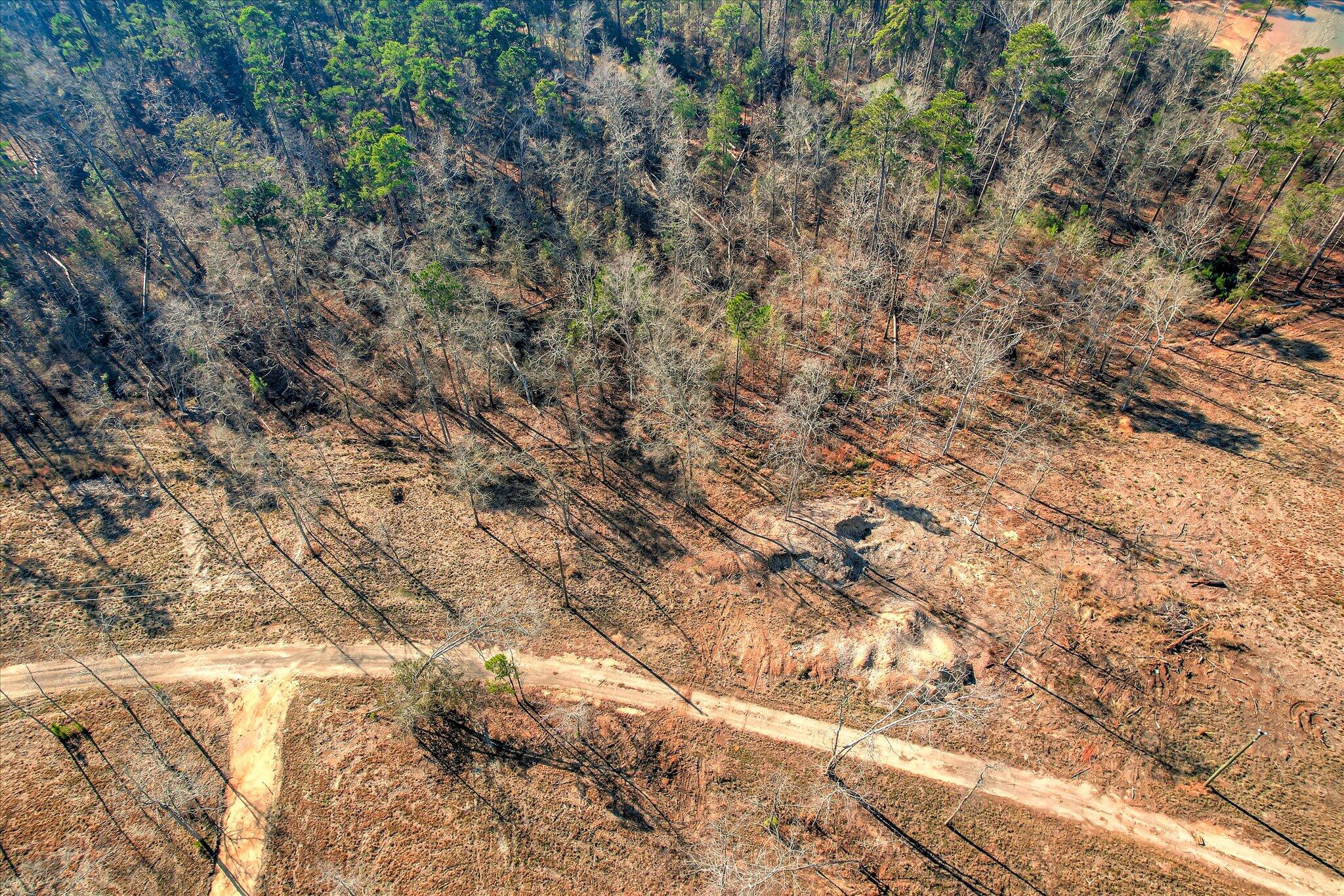 440 Abundance Way Appling, GA 30802 - Photo 3 of 14 03-103